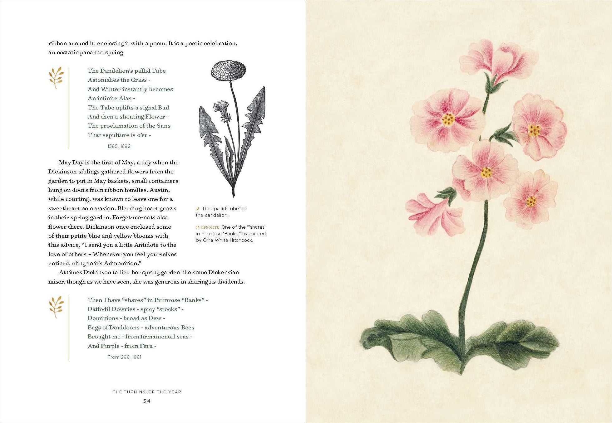 Emily Dickinson's Gardening Life: The Plants and Places That Inspired the Iconic Poet