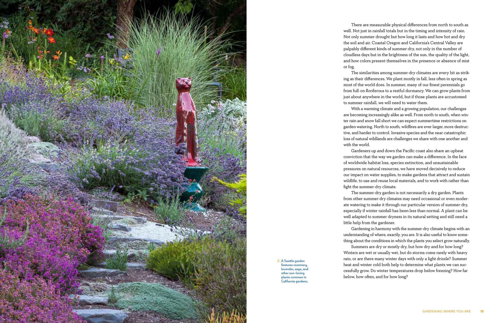 Gardening in Summer-Dry Climates: Plants for a Lush, Water-Conscious Landscape