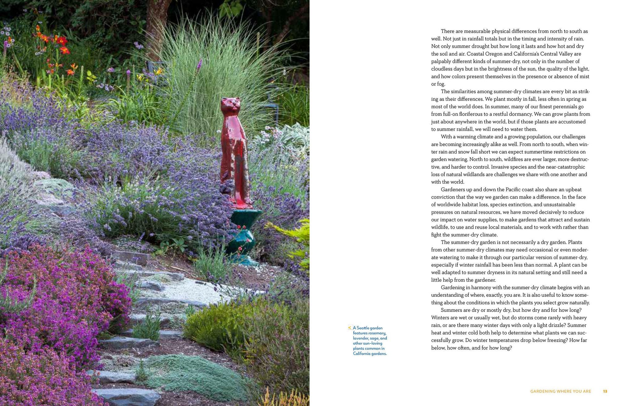 Gardening in Summer-Dry Climates: Plants for a Lush, Water-Conscious Landscape