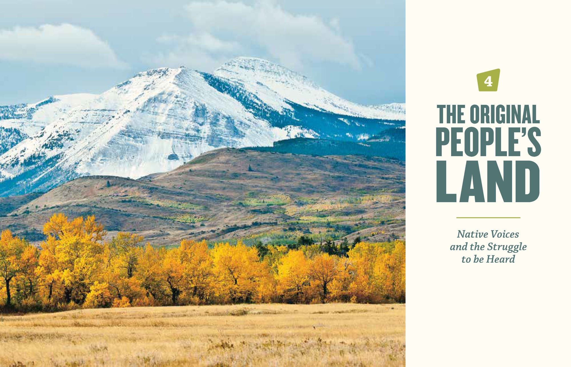 Our National Forests: Stories from America's Most Important Public Lands