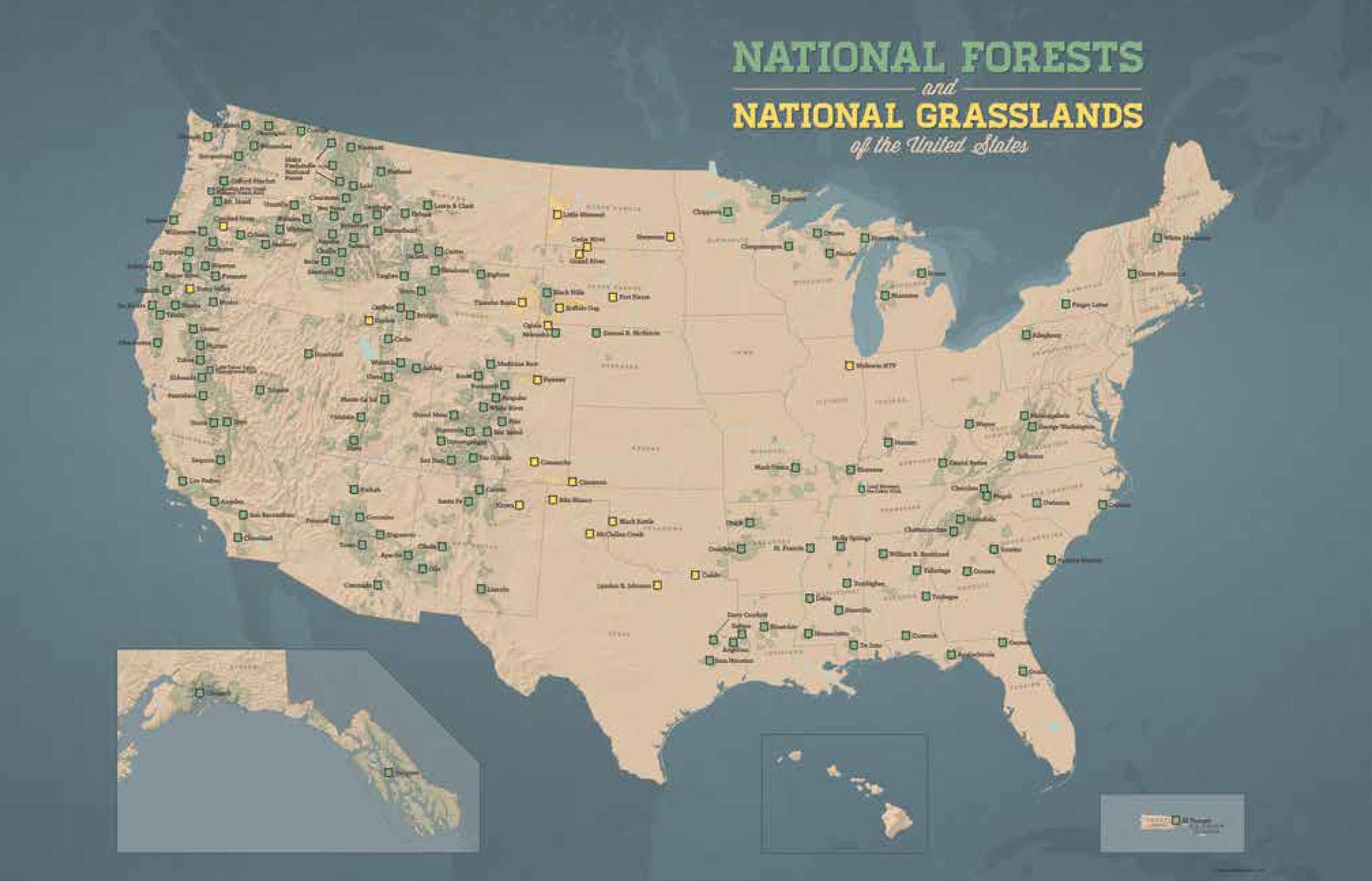 Our National Forests: Stories from America's Most Important Public Lands