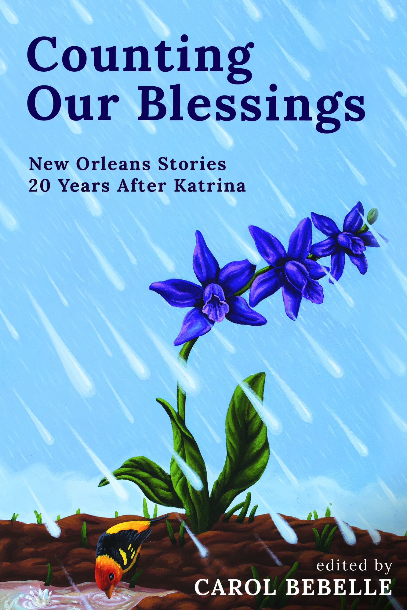 Counting Our Blessings: The Other Katrina Stories
