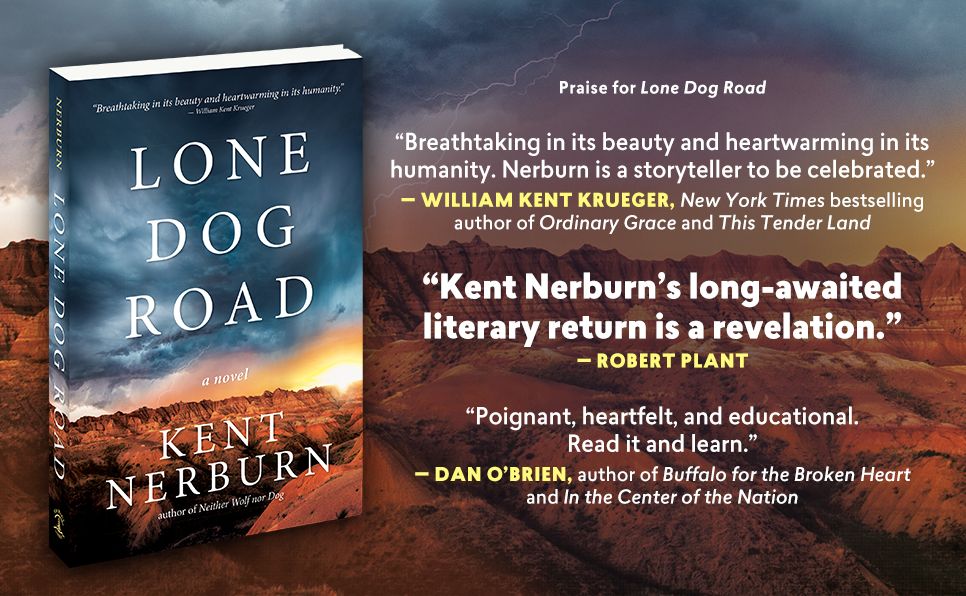 Lone Dog Road: A Novel