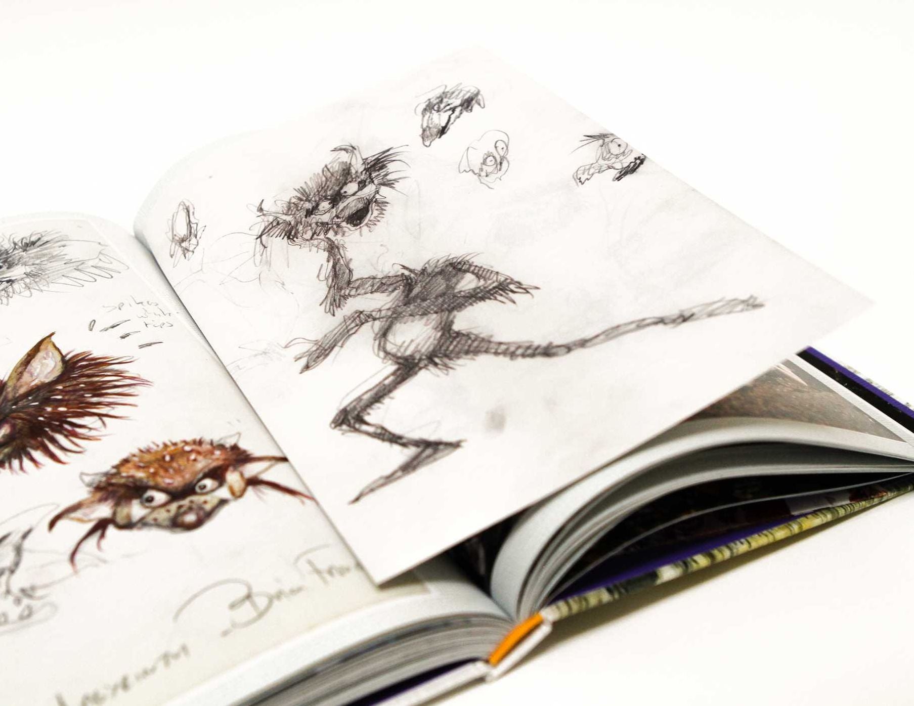 Labyrinth: The Ultimate Visual History