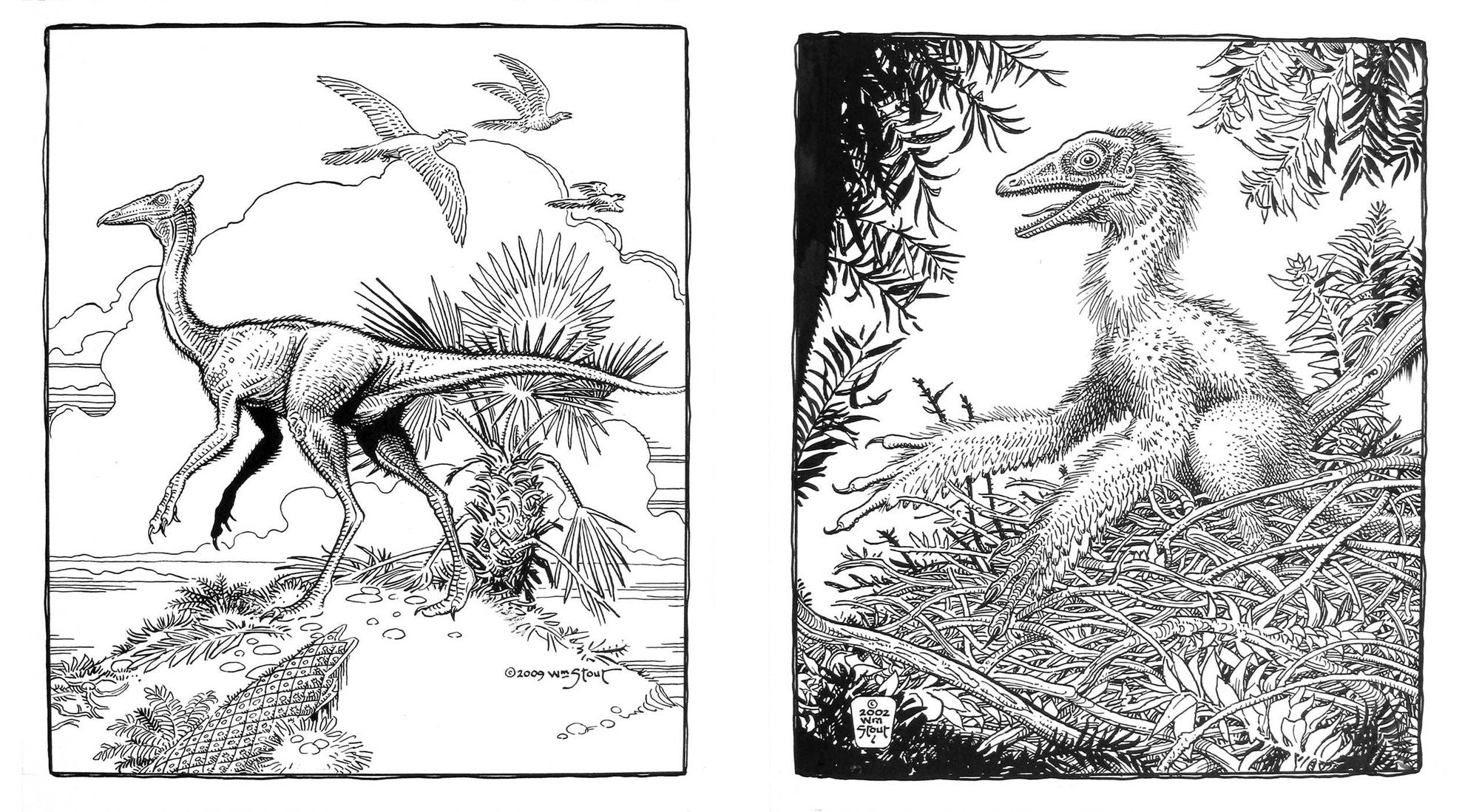 Dinosaurs: A Coloring Book by William Stout
