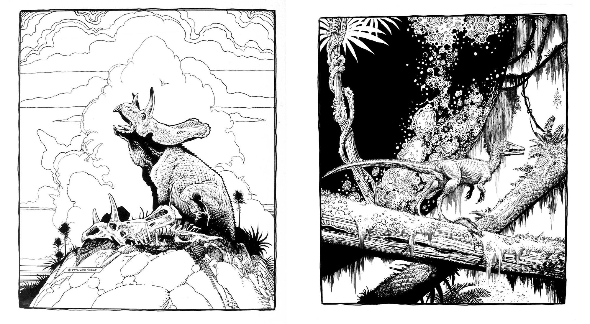Dinosaurs: A Coloring Book by William Stout