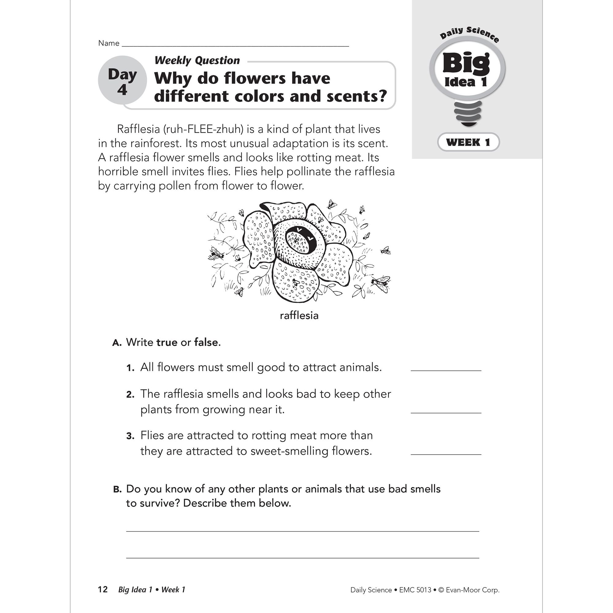 Daily Science, Grade 3 Student Edition Workbook