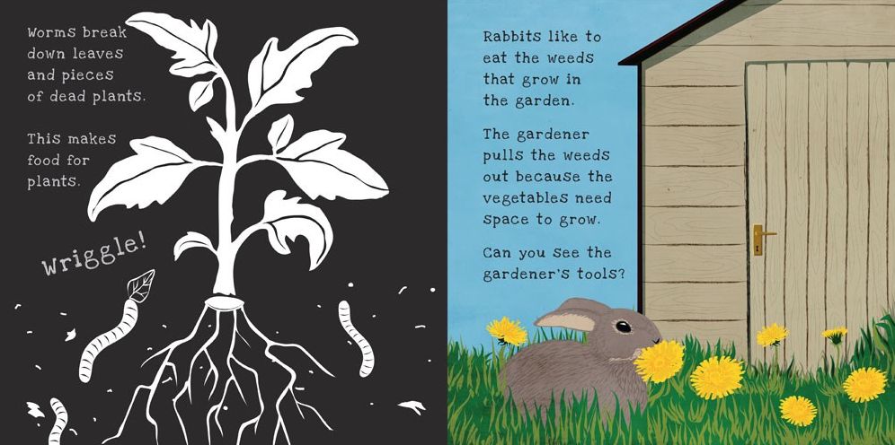 Secrets of the Vegetable Garden (Shine-a-Light Series)