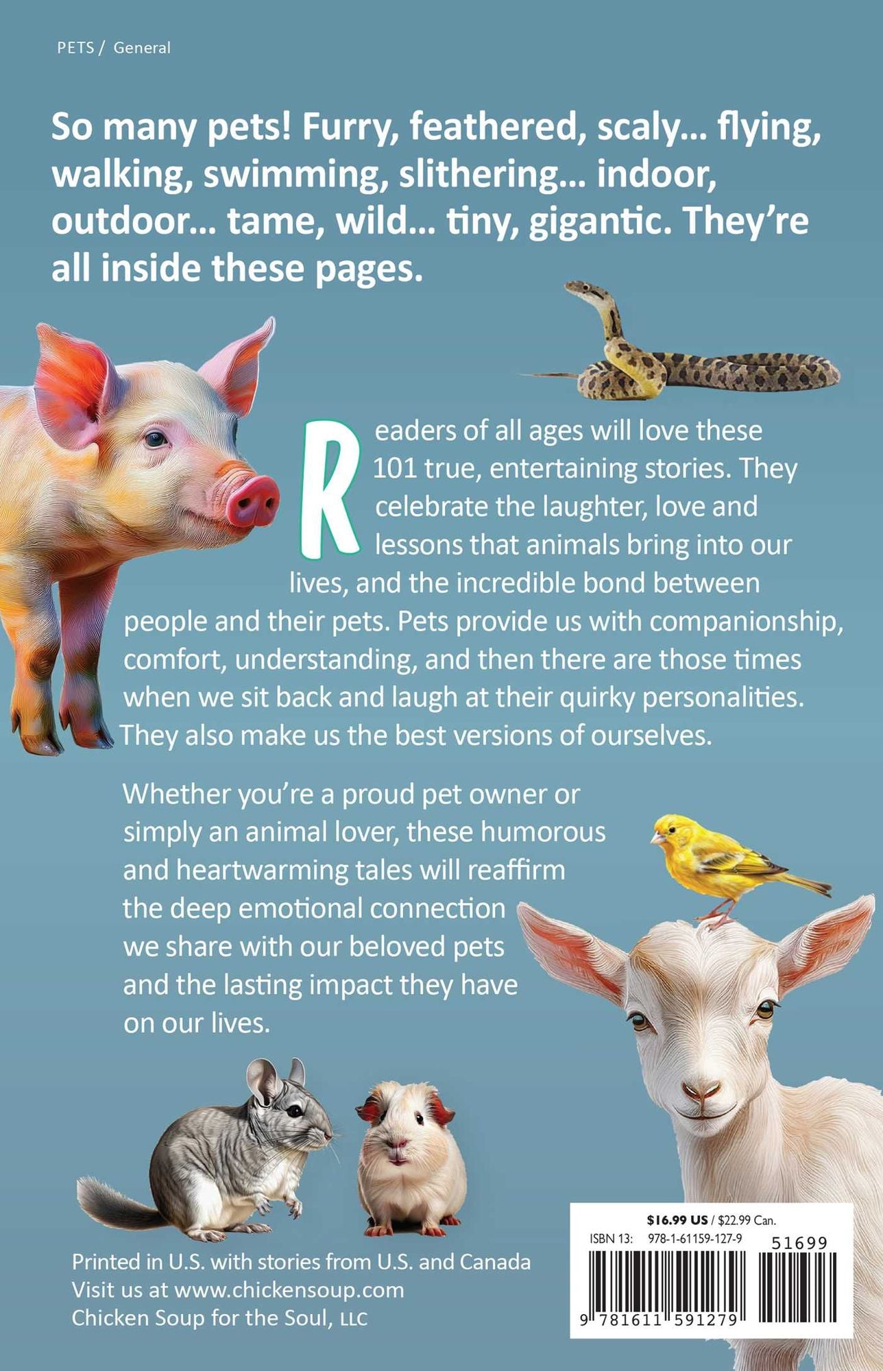Chicken Soup for the Soul: Pets, Pets, Pets: 101 Entertaining Stories