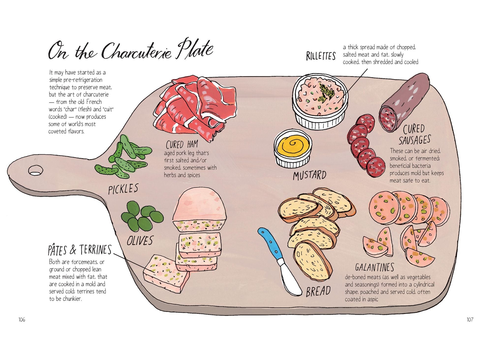 Food Anatomy: The Curious Parts & Pieces of Our Edible World