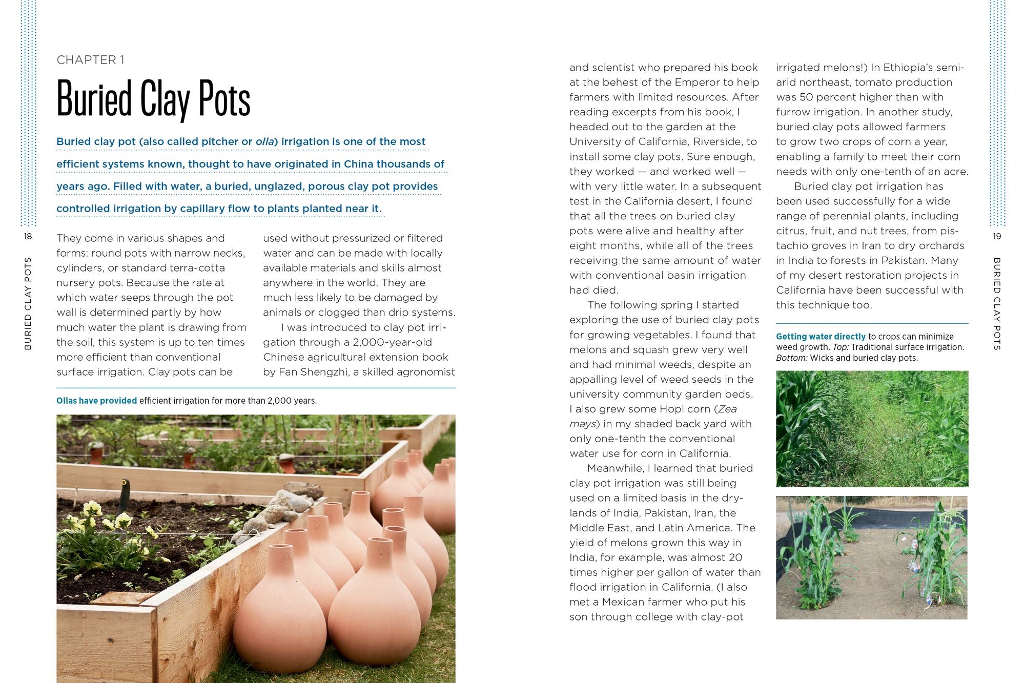 Gardening with Less Water: Low-Tech, Low-Cost Techniques; Use up to 90% Less Water in Your Garden