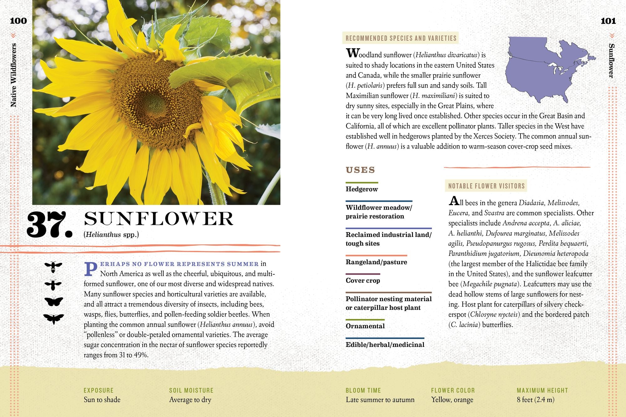 100 Plants to Feed the Bees: Provide a Healthy Habitat to Help Pollinators Thrive