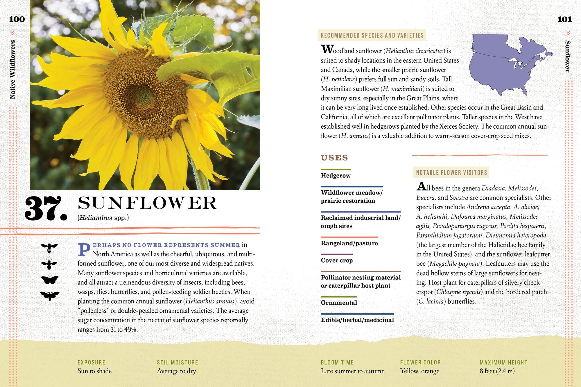 100 Plants to Feed the Bees: Provide a Healthy Habitat to Help Pollinators Thrive