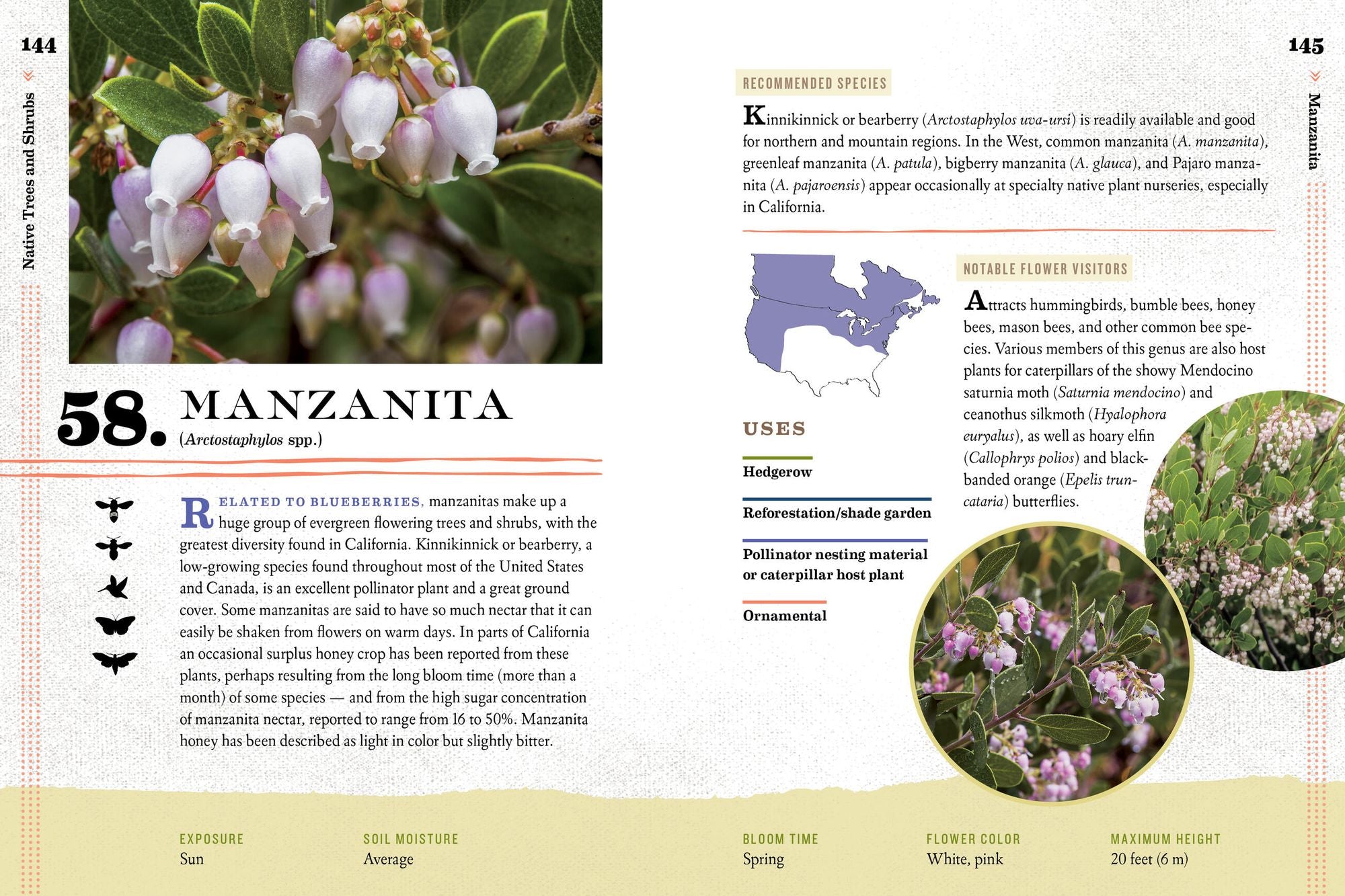 100 Plants to Feed the Bees: Provide a Healthy Habitat to Help Pollinators Thrive