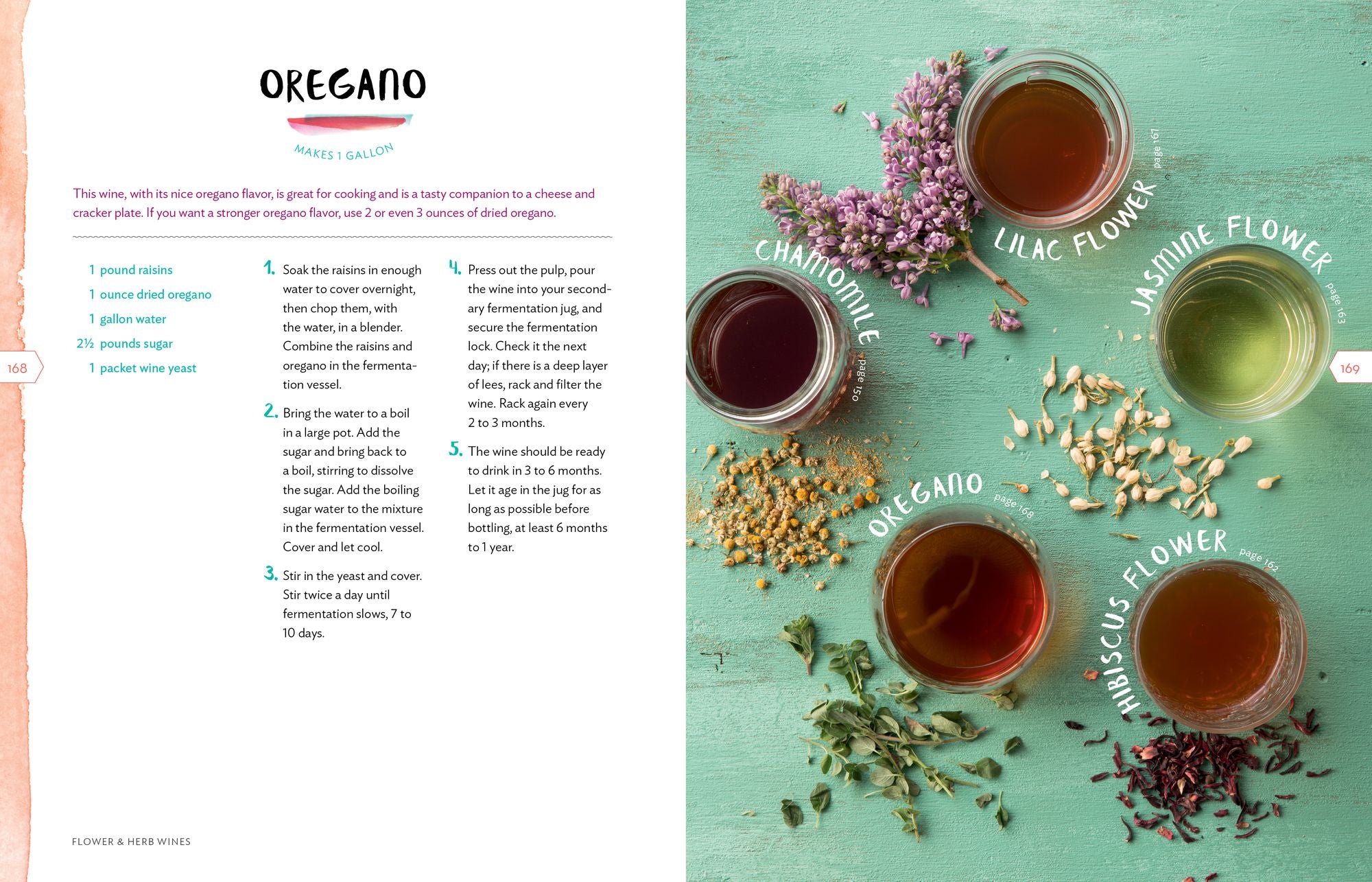 Wild Winemaking: Easy & Adventurous Recipes Going Beyond Grapes, Including Apple Champagne, Ginger-Green Tea Sake, Key Lime-Cayenne Wine, and 142 More