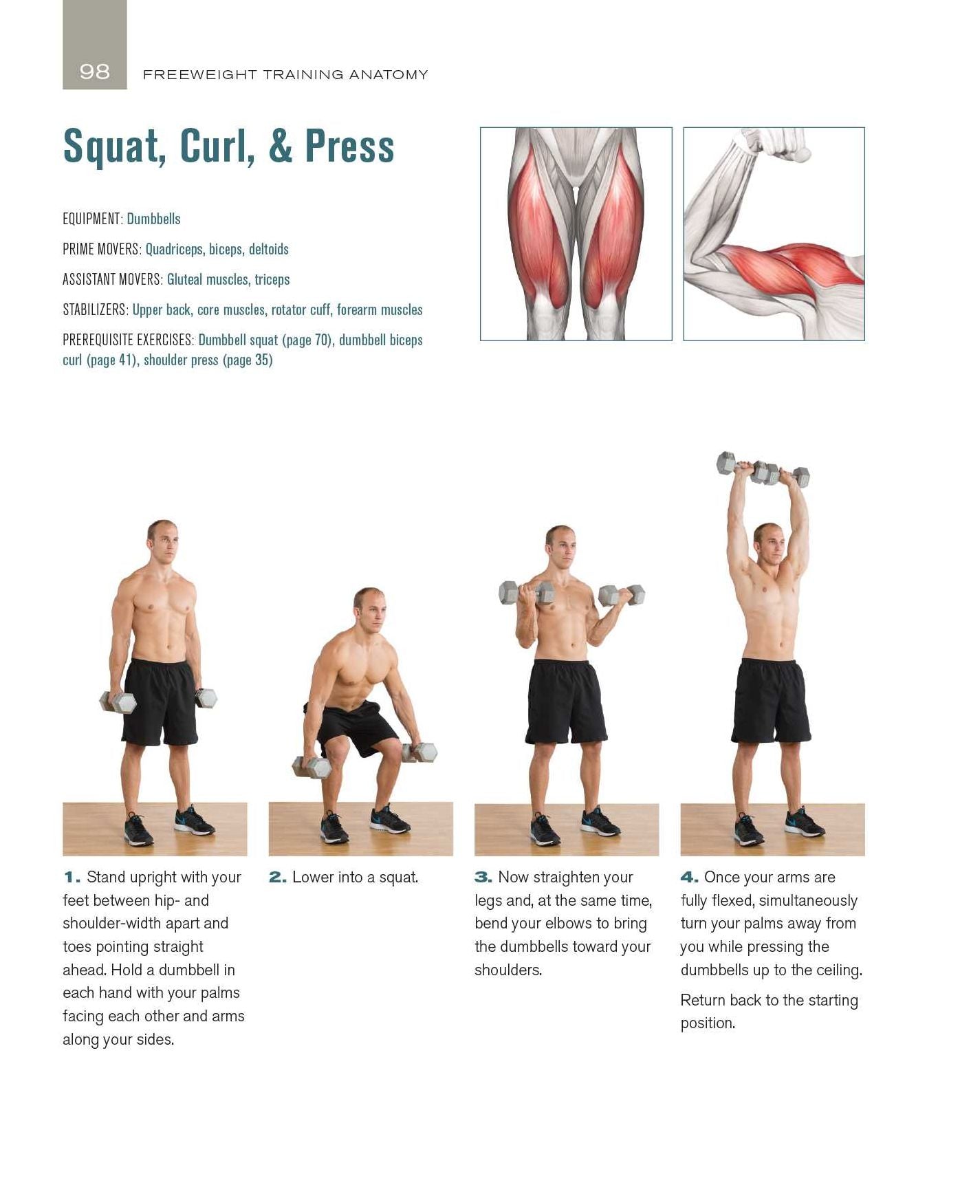 Freeweight Training Anatomy: An Illustrated Guide to the Muscles Used while Exercising with Dumbbells, Barbells, and Kettlebells and more