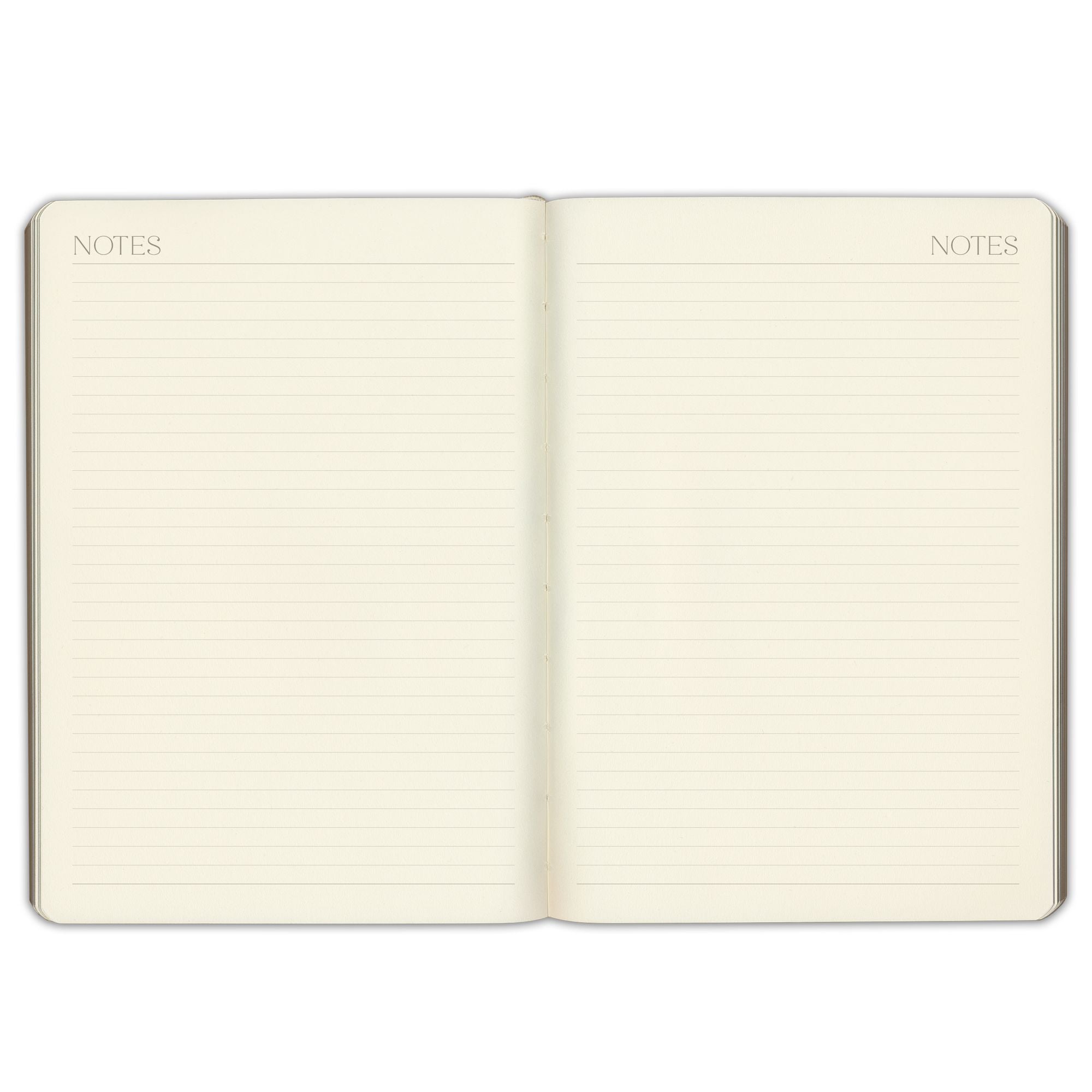 2027 Paper Source Sage Weekly Desk Planner
