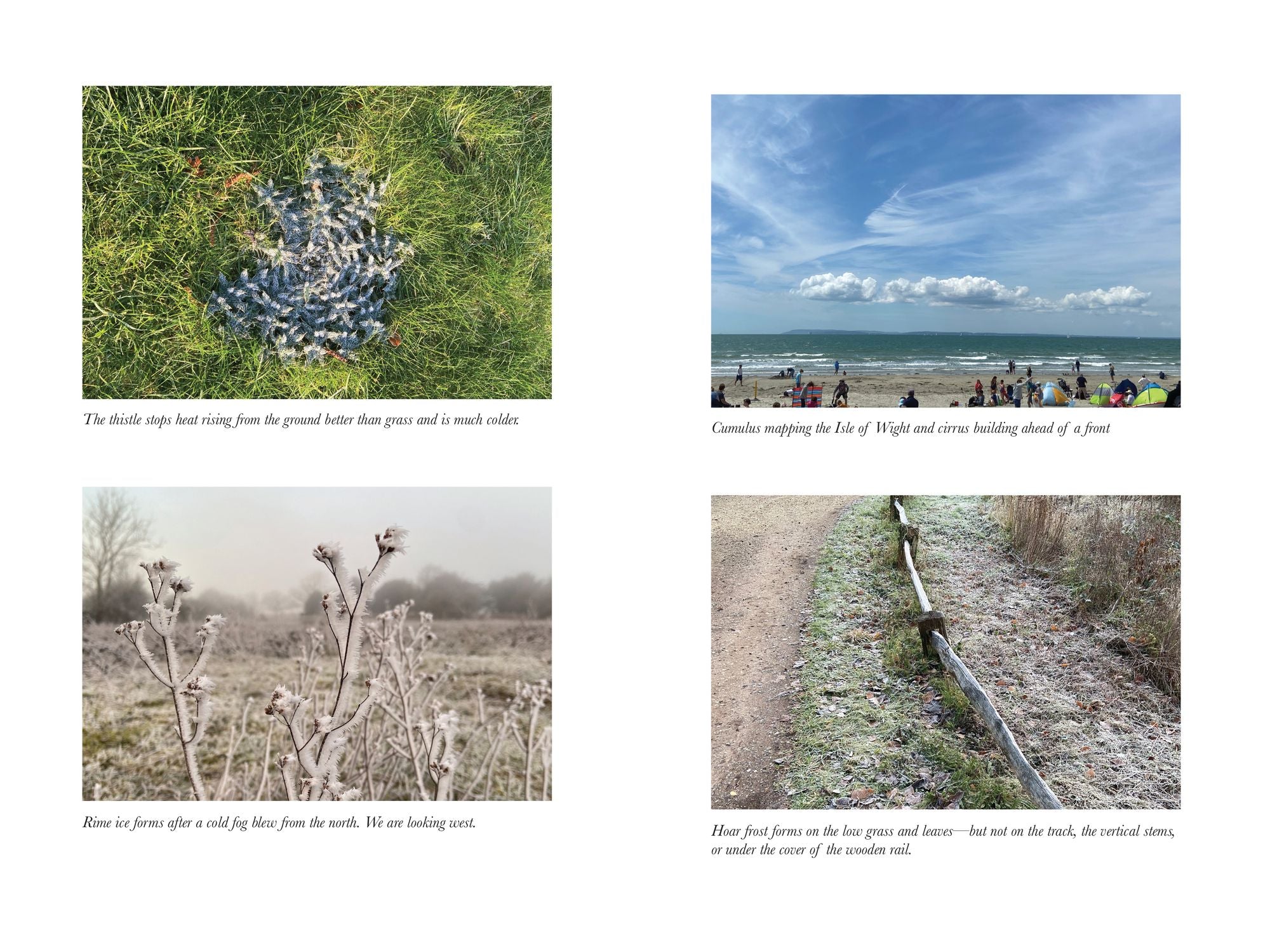 The Secret World of Weather: How to Read Signs in Every Cloud, Breeze, Hill, Street, Plant, Animal, and Dewdrop
