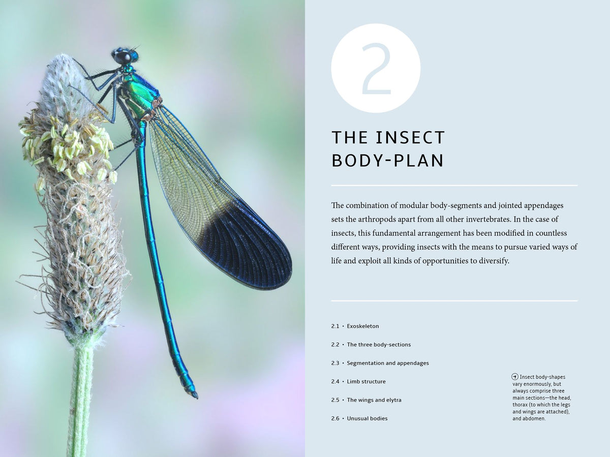 How Insects Work: An Illustrated Guide to the Wonders of Form and Function - from Antennae to Wings