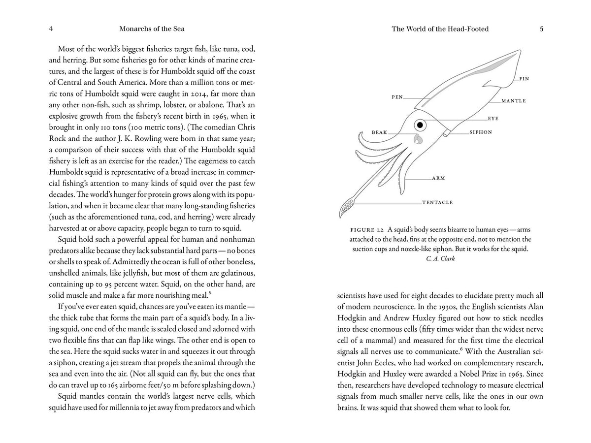 Monarchs of the Sea: The Extraordinary 500-Million-Year History of Cephalopods