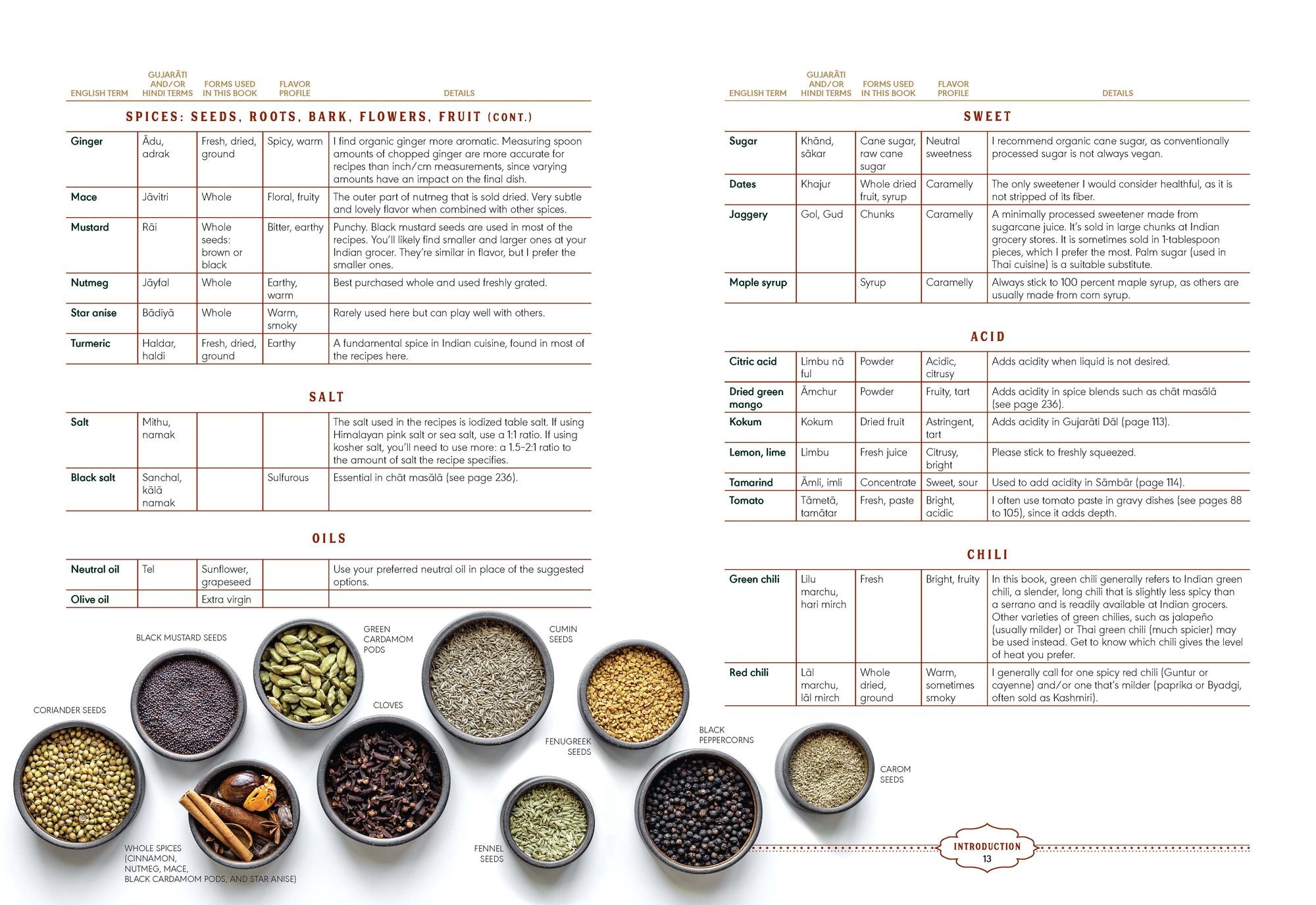 Plant-Based India: Nourishing Recipes Rooted in Tradition