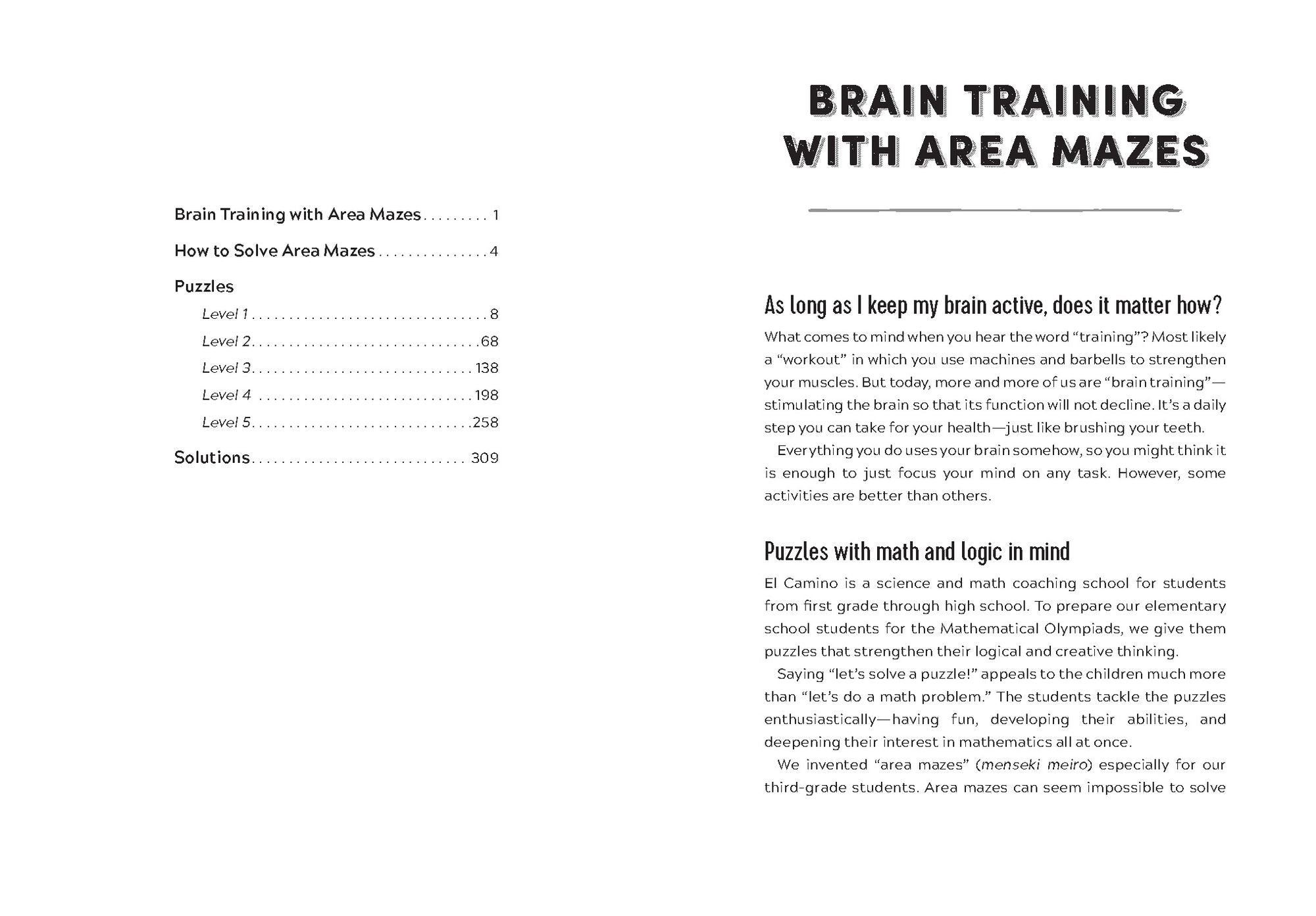 The Big Puzzle Book of Area Mazes: 300 Mind-Bending Math Puzzles in Five Challenge Levels
