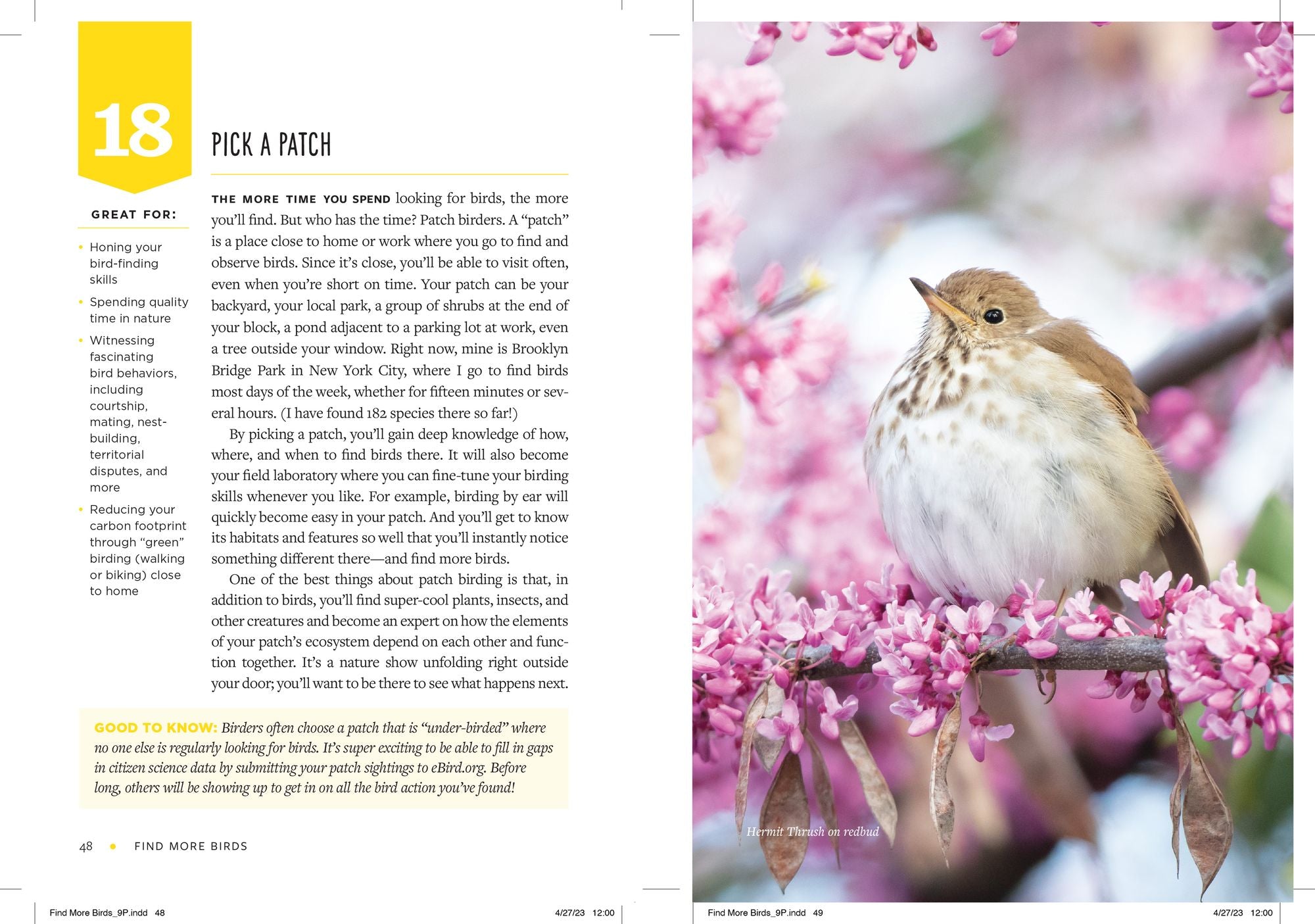 Find More Birds: 111 Surprising Ways to Spot Birds Wherever You Are