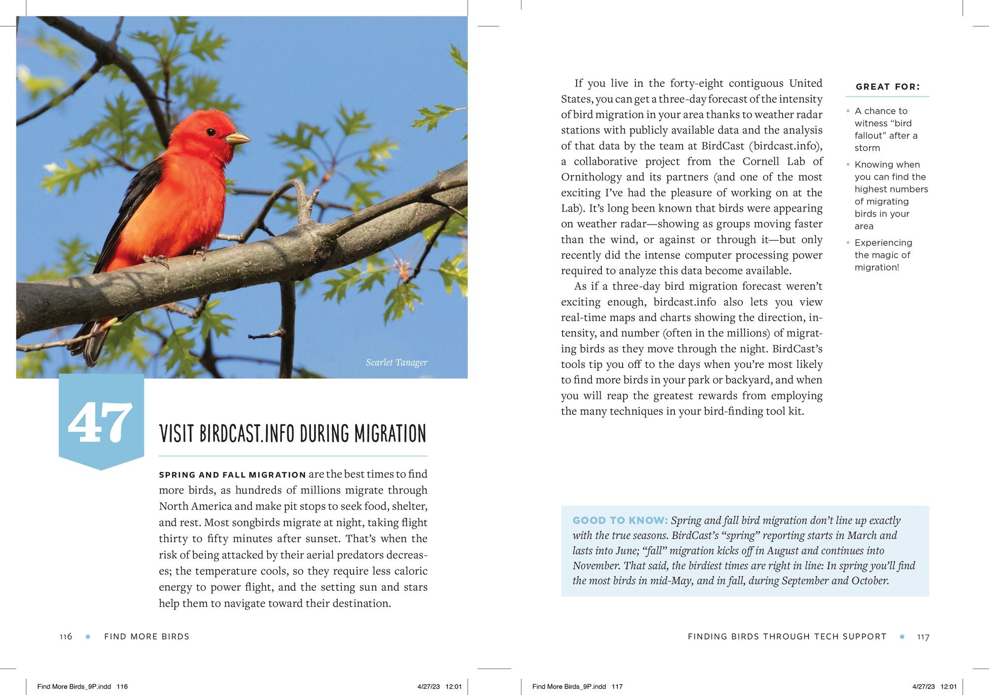 Find More Birds: 111 Surprising Ways to Spot Birds Wherever You Are