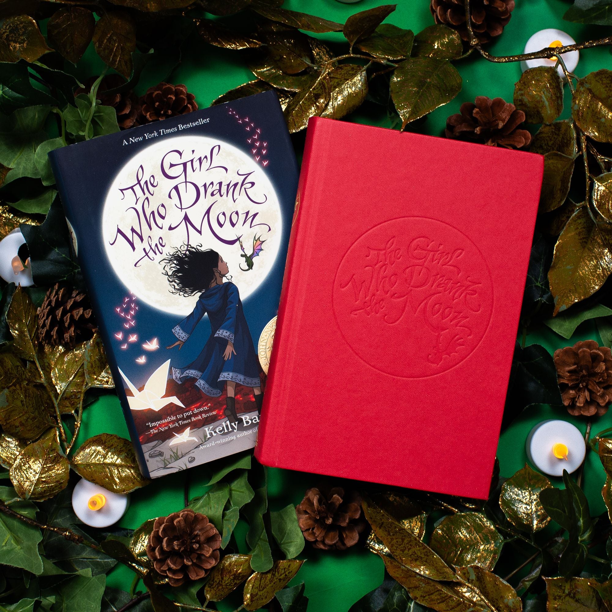 The Girl Who Drank the Moon (Newbery Medal Winner)