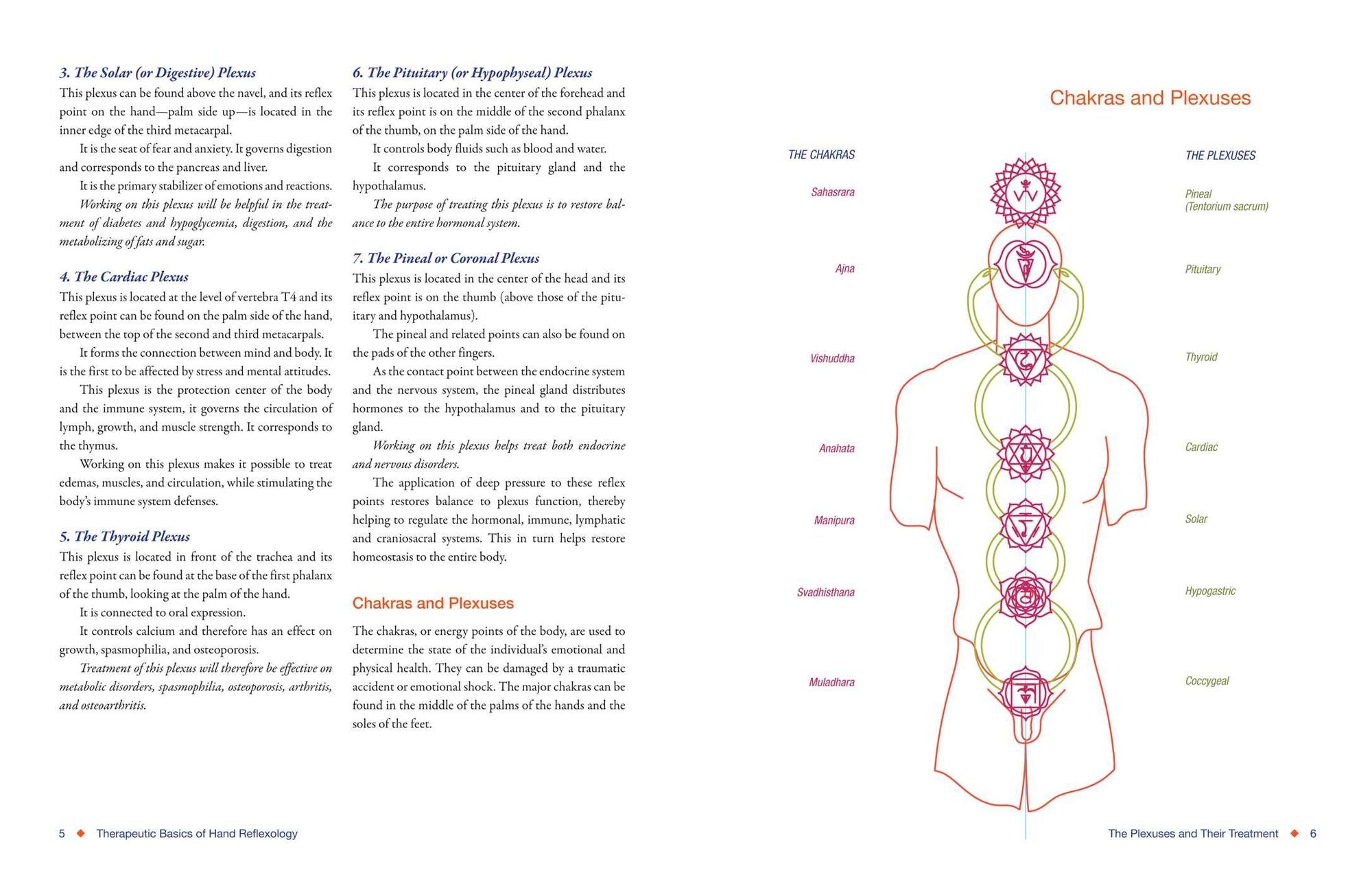 Total Reflexology of the Hand: An Advanced Guide to the Integration of Craniosacral Therapy and Reflexology