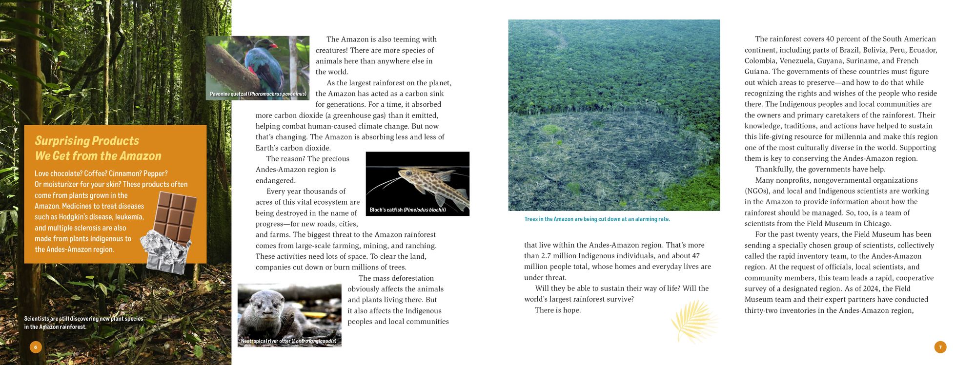 3 Weeks in the Rainforest: A Rapid Inventory in the Amazon