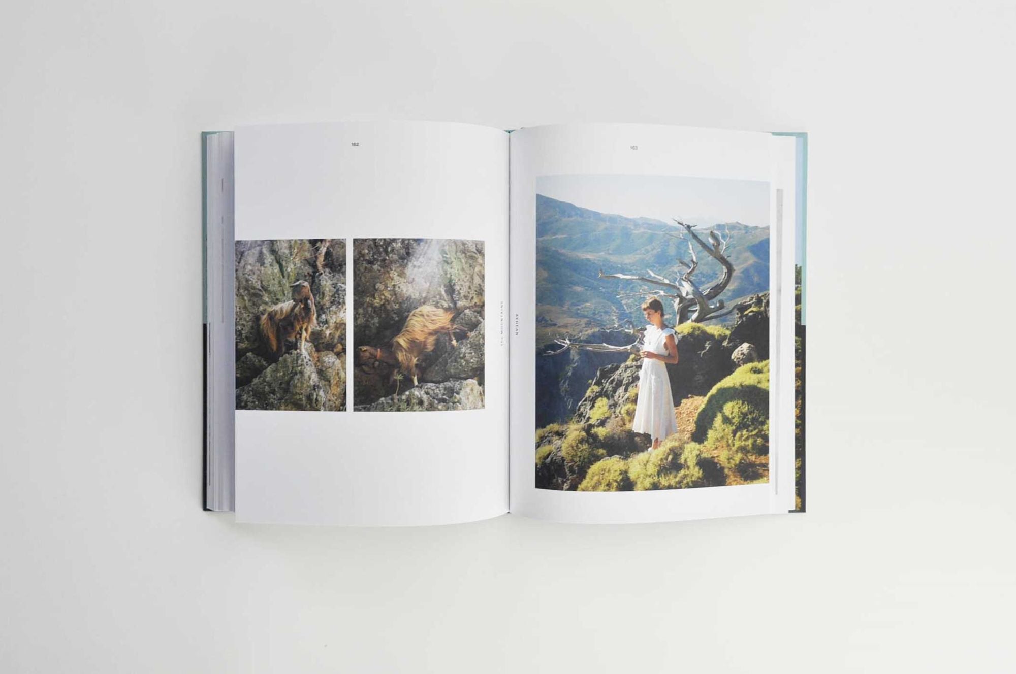 Aegean: Recipes from the Mountains to the Sea