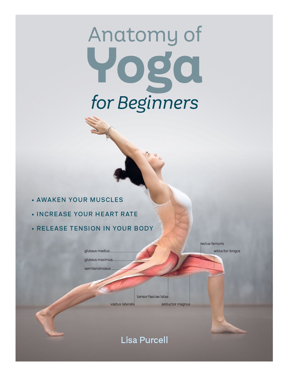 Anatomy of Yoga