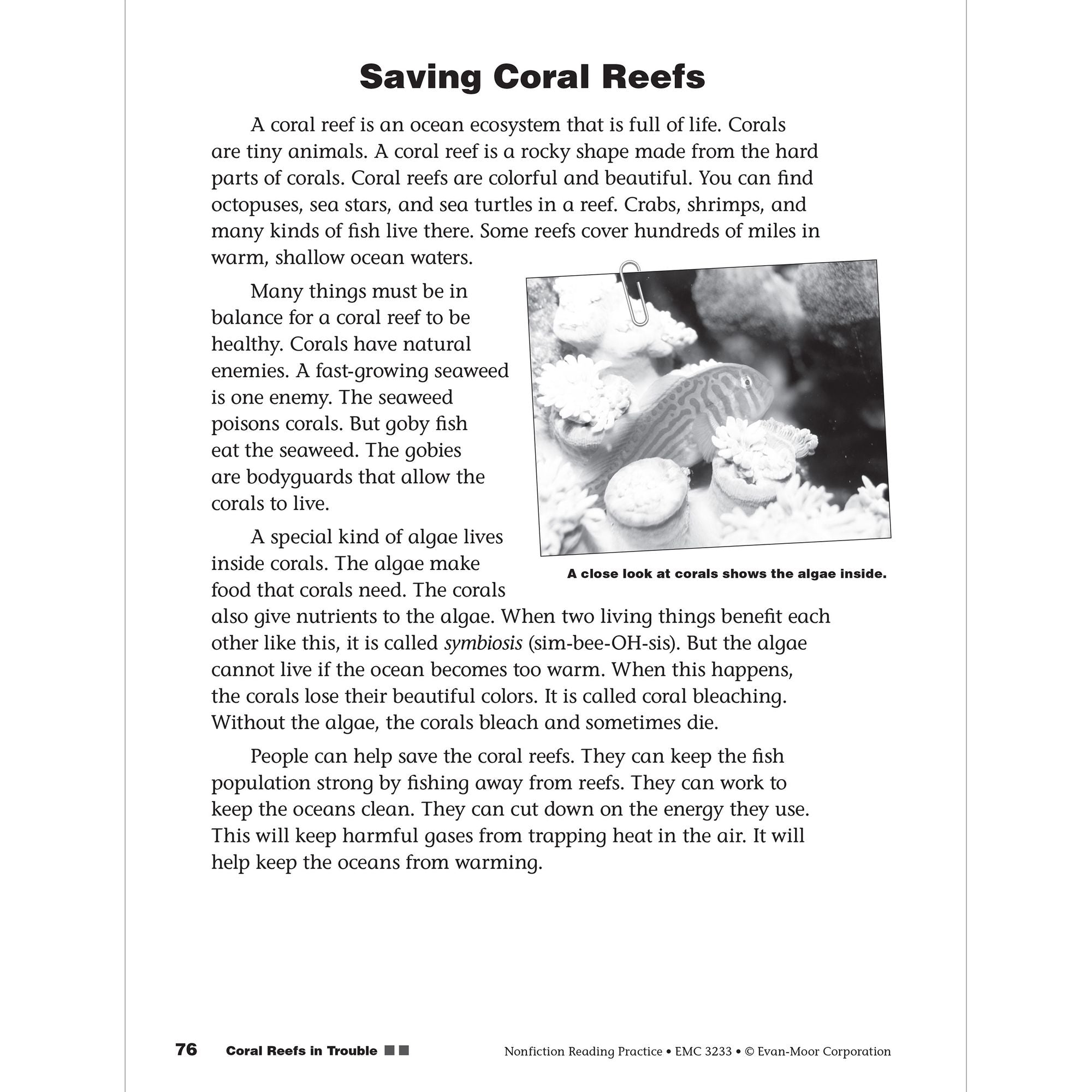 Nonfiction Reading Practice, Grade 3