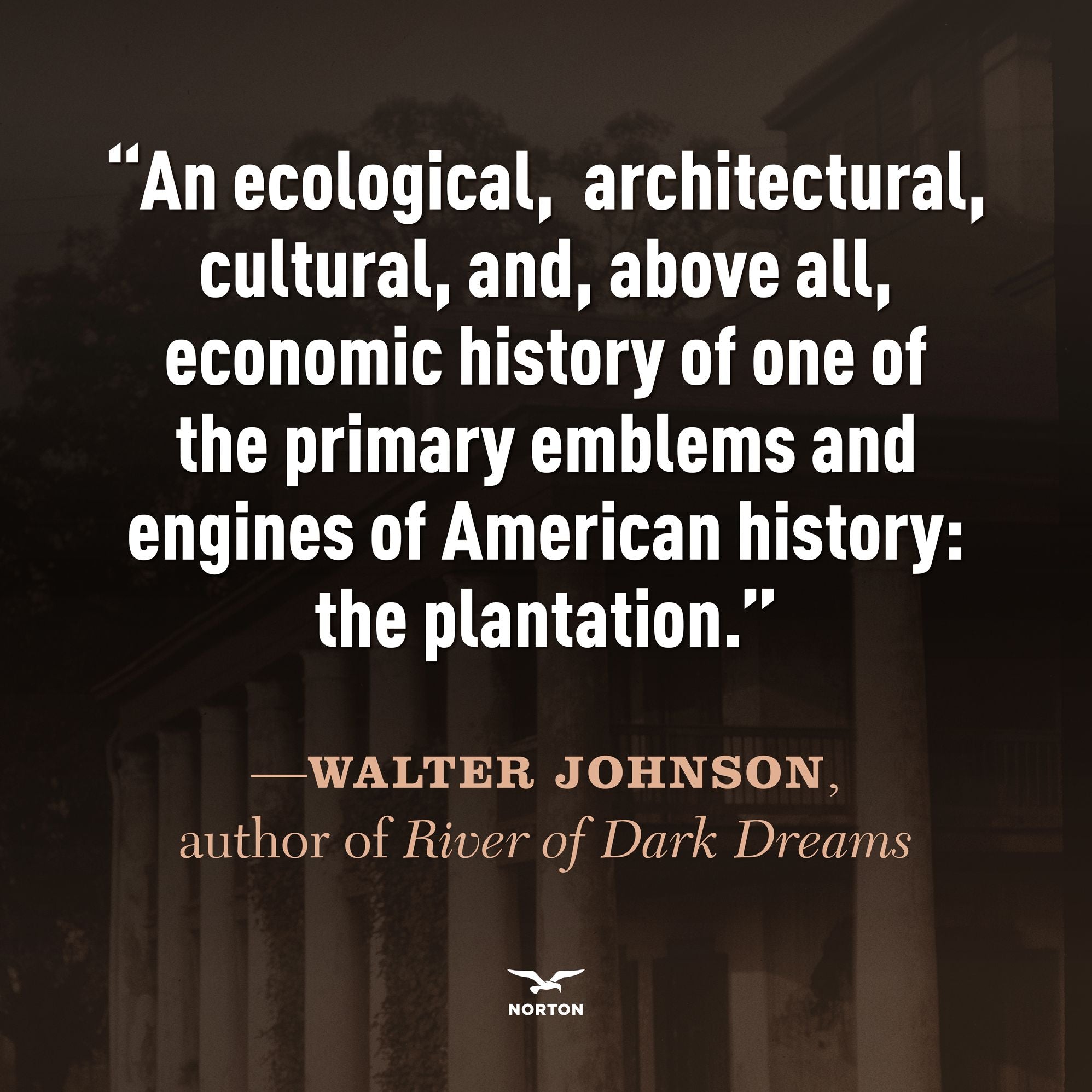 In the Shadow of the Great House: A History of the Plantation in America