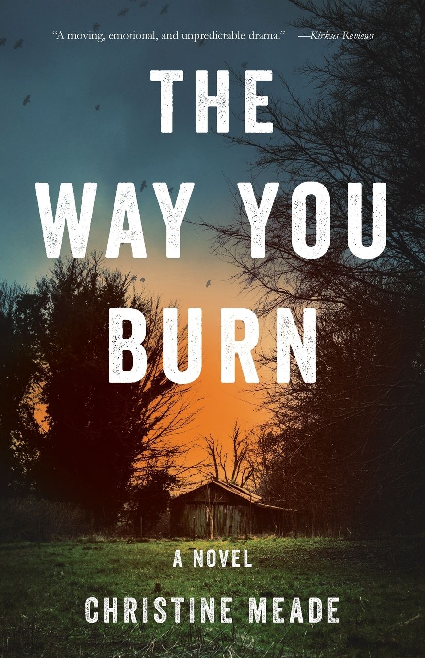 The Way You Burn: A Novel