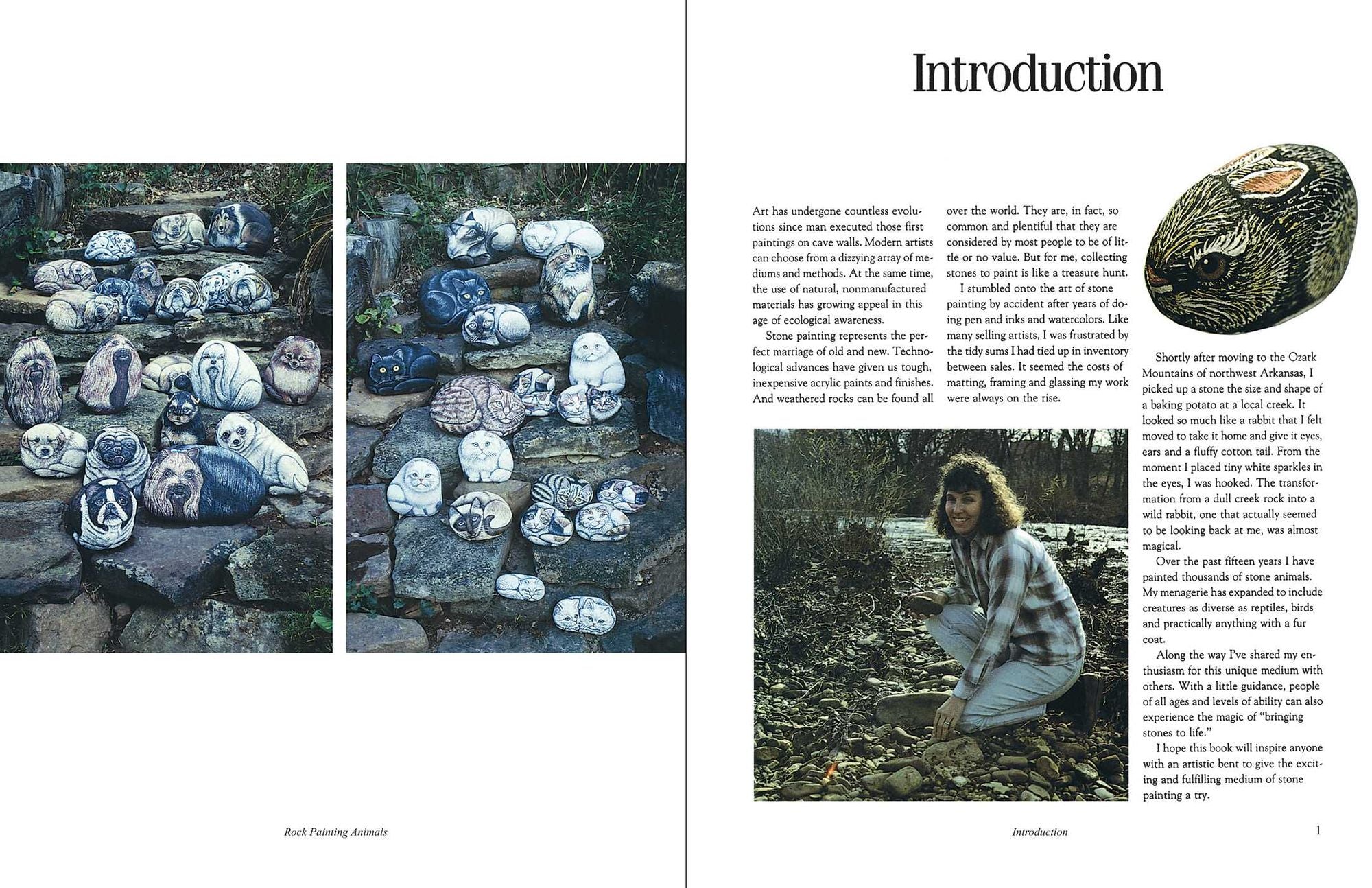 Rock Painting Animals: Step-by-Step Instructions, Techniques, and Ideas-20 Projects for Everyone!