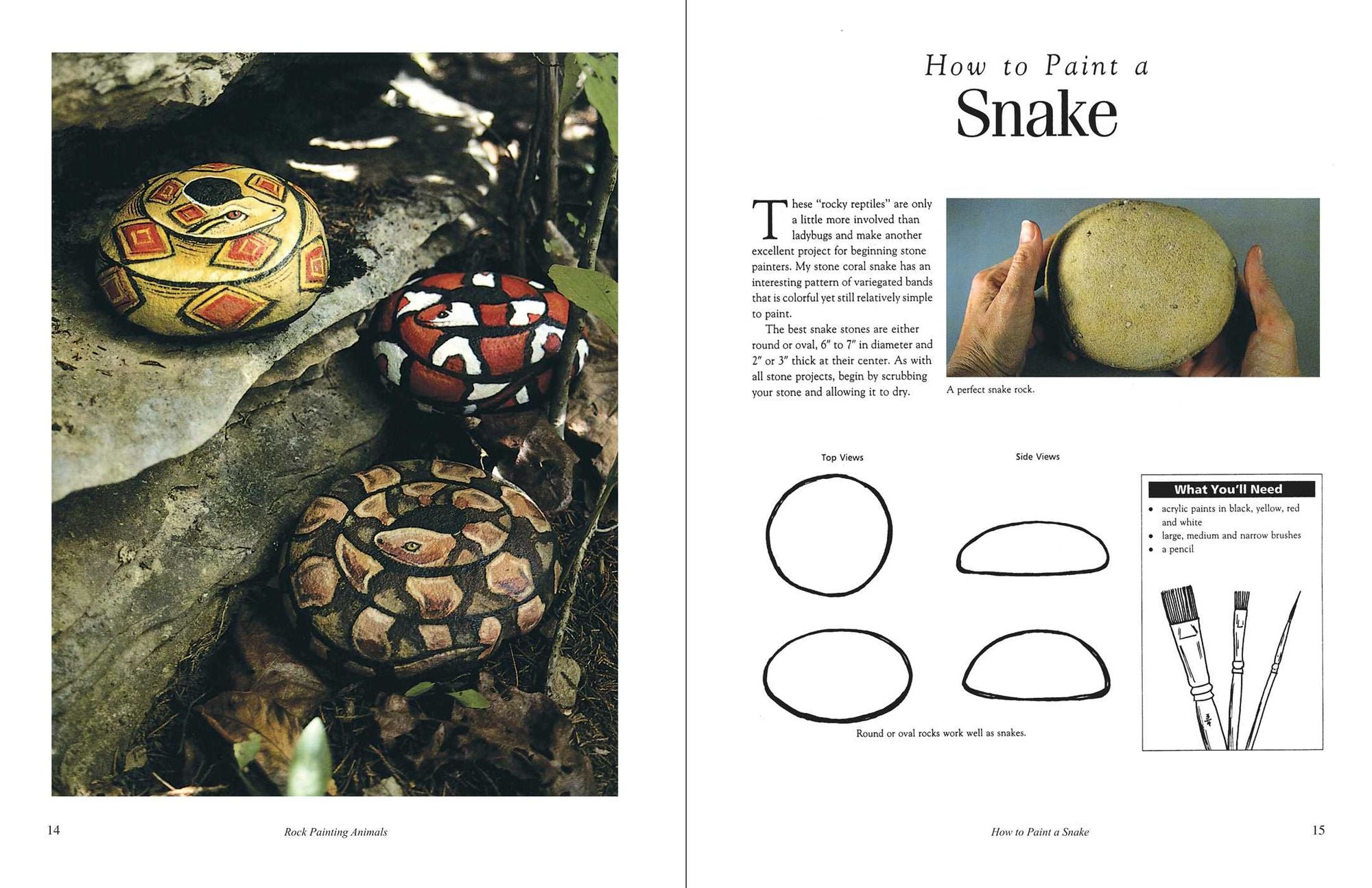 Rock Painting Animals: Step-by-Step Instructions, Techniques, and Ideas-20 Projects for Everyone!