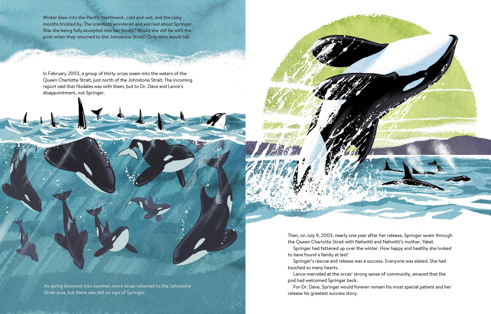 The Spirit of Springer: The Real-Life Rescue of an Orphaned Orca (Whale Books for Kids)