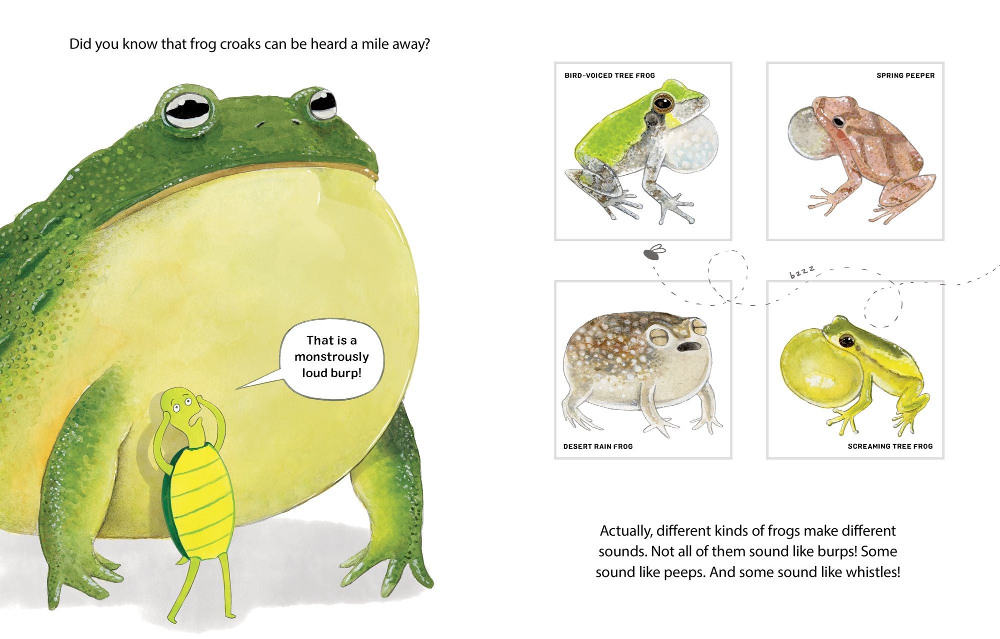 Nobody Likes Frogs: A Book of Toadally Fun Facts