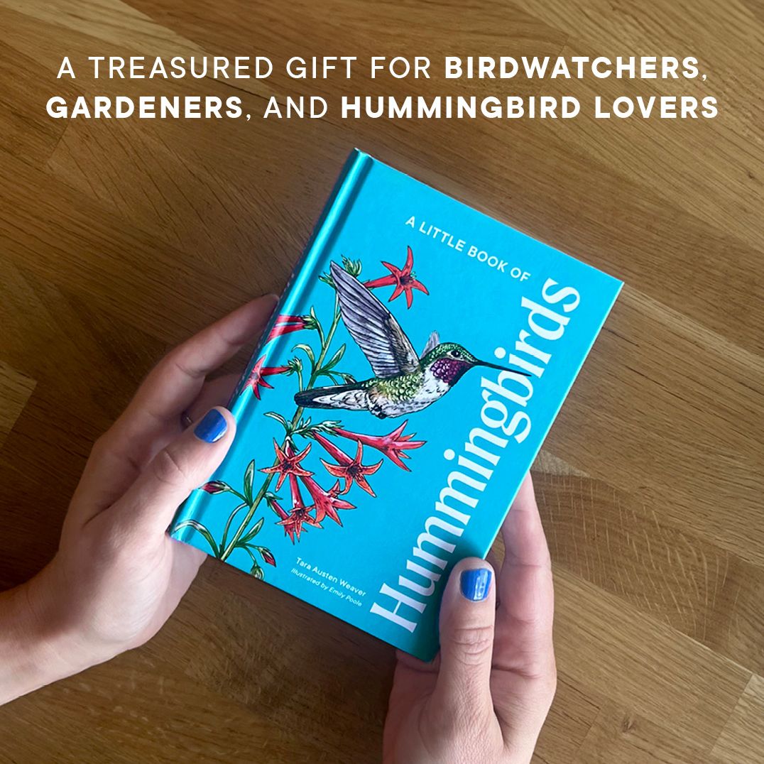 A Little Book of Hummingbirds: A Bird Identification Book