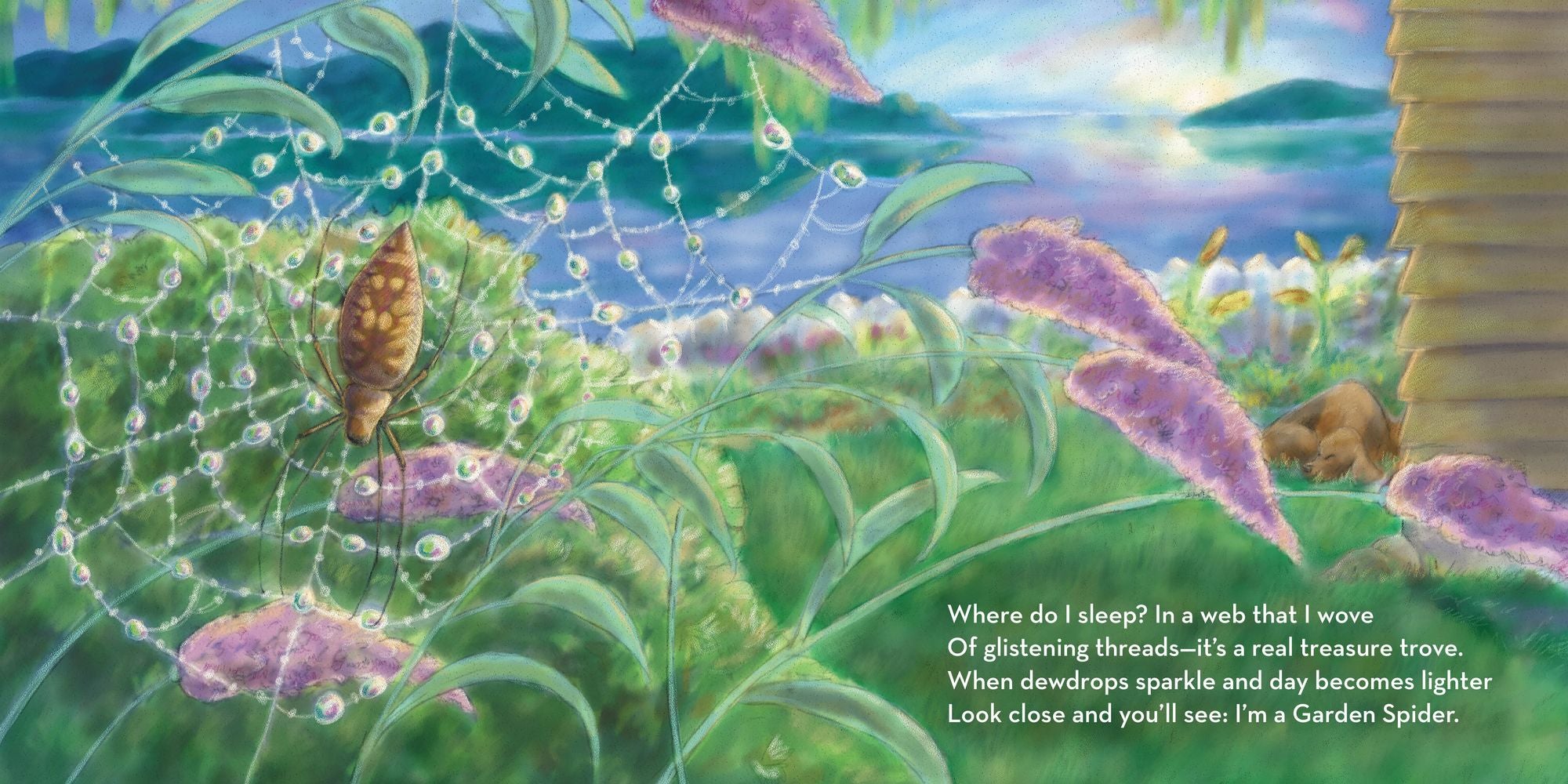 Where Do I Sleep?: A Nature Lullaby