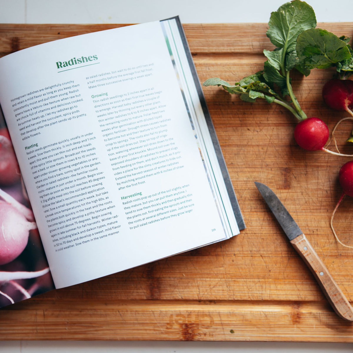 Grow Cook Eat: A Food Lover's Guide to Vegetable Gardening, Including How to Grow 50 Vegetables, Herbs, and Fruits