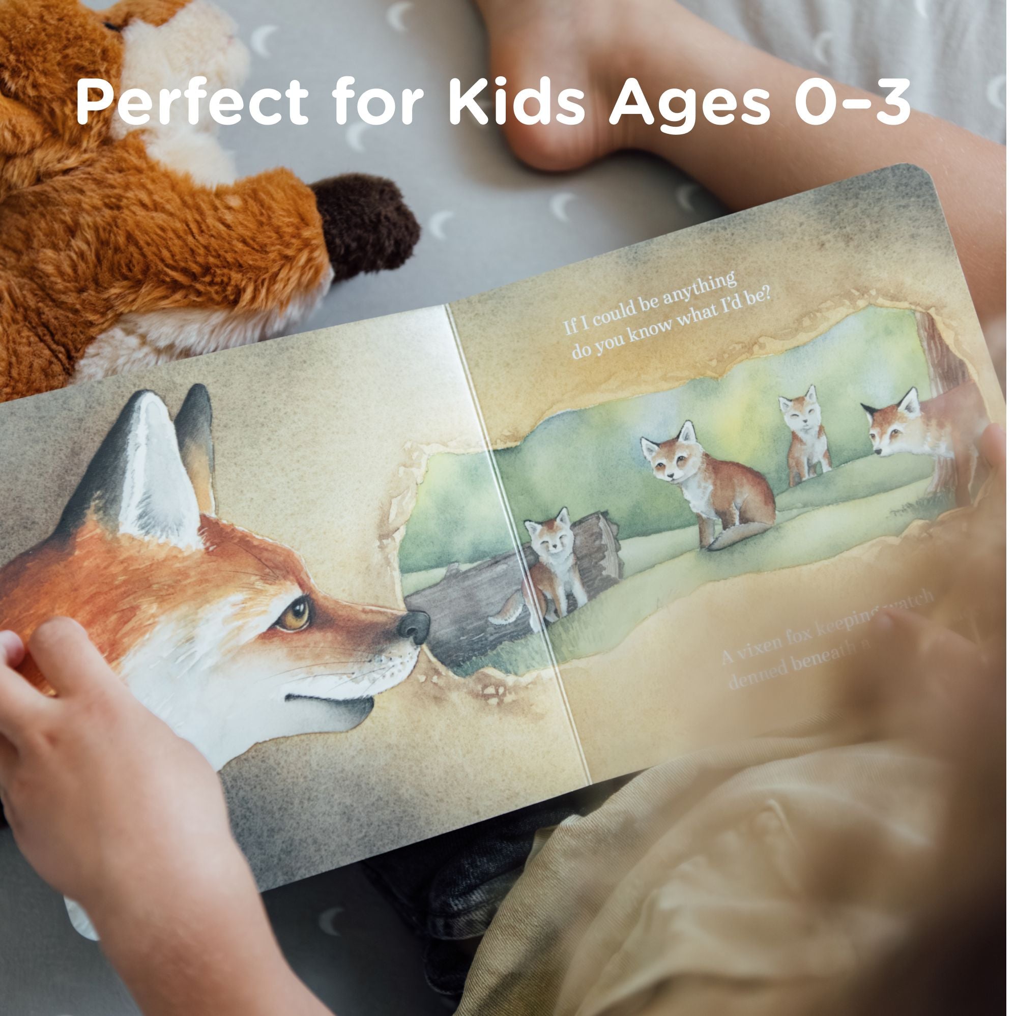 If I Were a Fox: A Board Book for Toddlers Ages 1-3