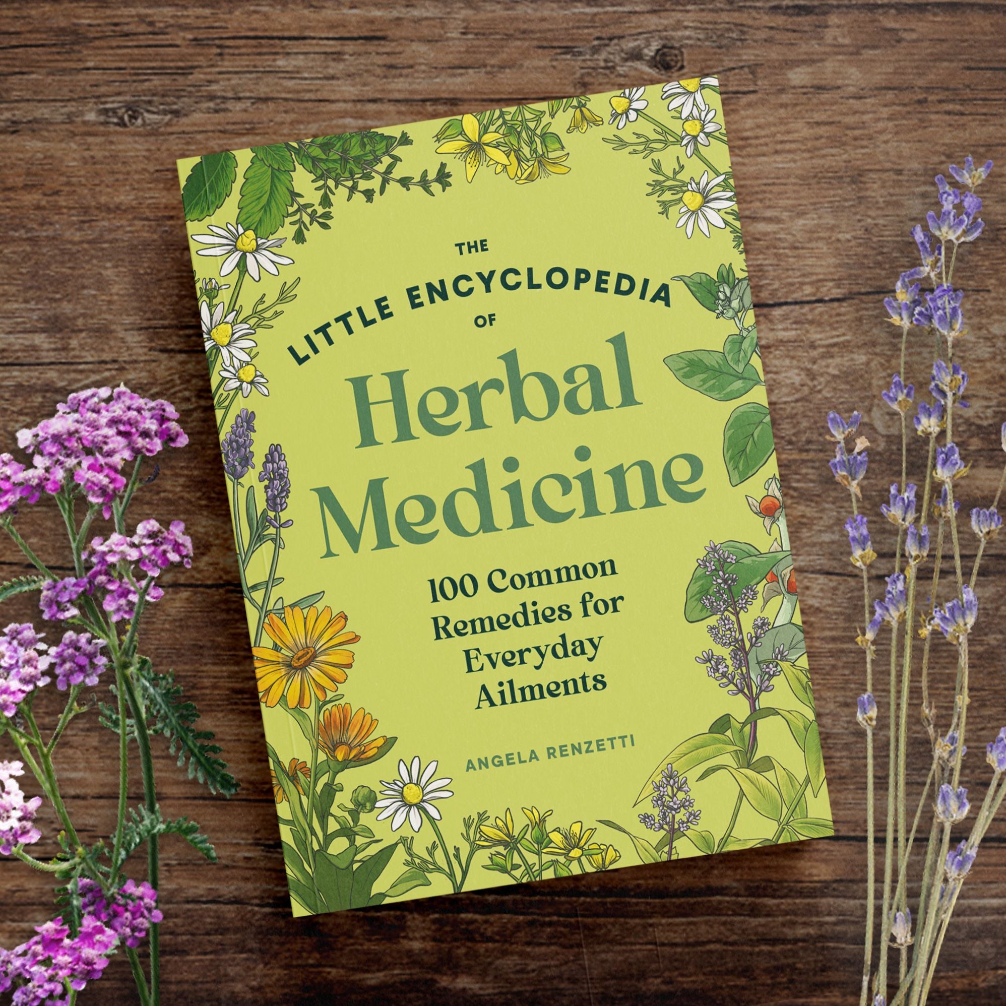 The Little Encyclopedia of Herbal Medicine: 100 Everyday Remedies from a Registered Herbalist and East Asian Medical Practitioner