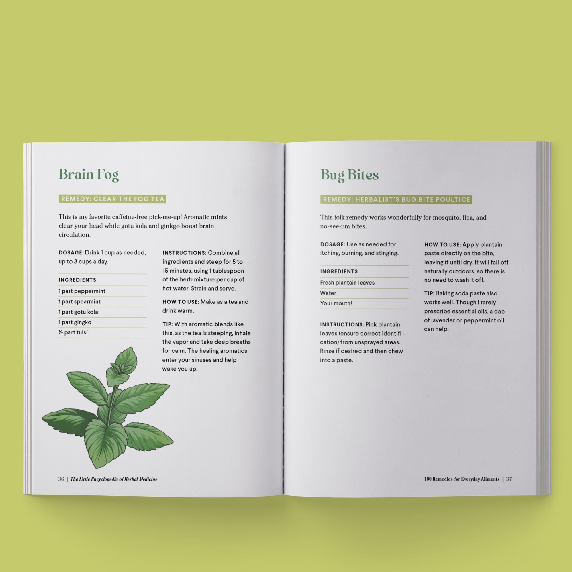 The Little Encyclopedia of Herbal Medicine: 100 Everyday Remedies from a Registered Herbalist and East Asian Medical Practitioner
