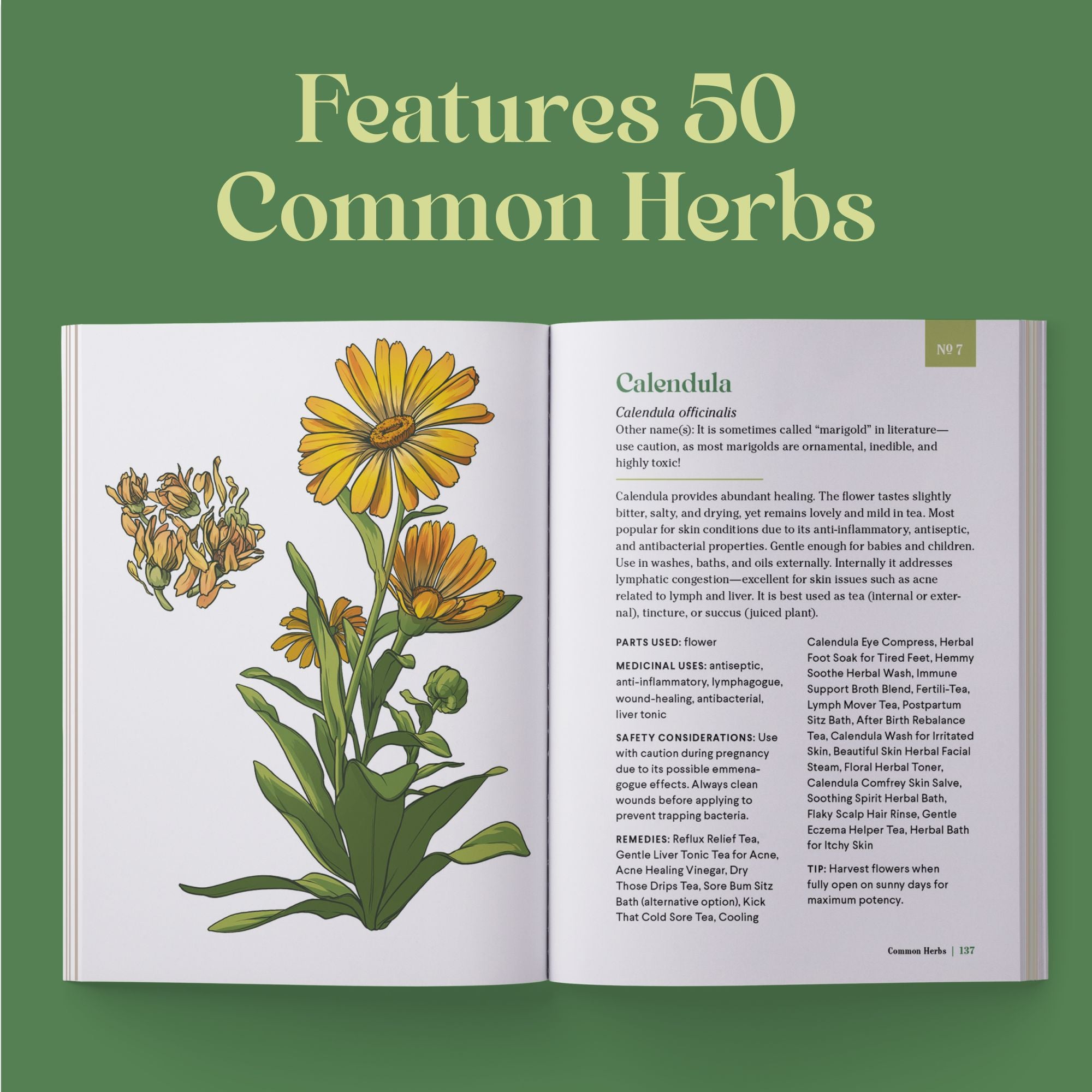 The Little Encyclopedia of Herbal Medicine: 100 Everyday Remedies from a Registered Herbalist and East Asian Medical Practitioner