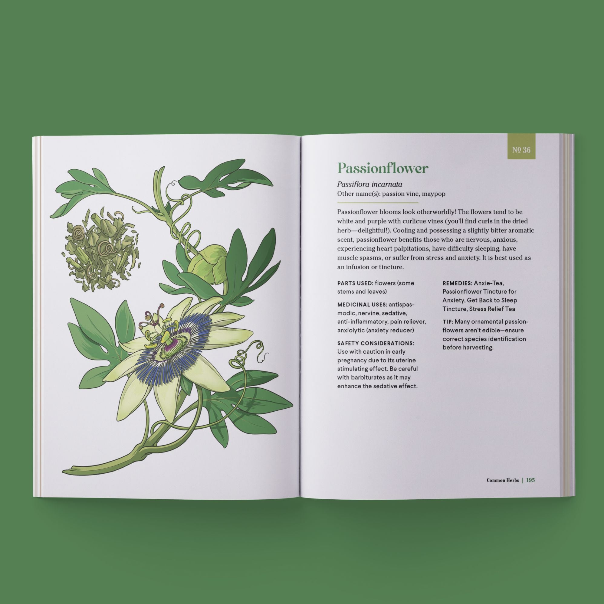 The Little Encyclopedia of Herbal Medicine: 100 Everyday Remedies from a Registered Herbalist and East Asian Medical Practitioner