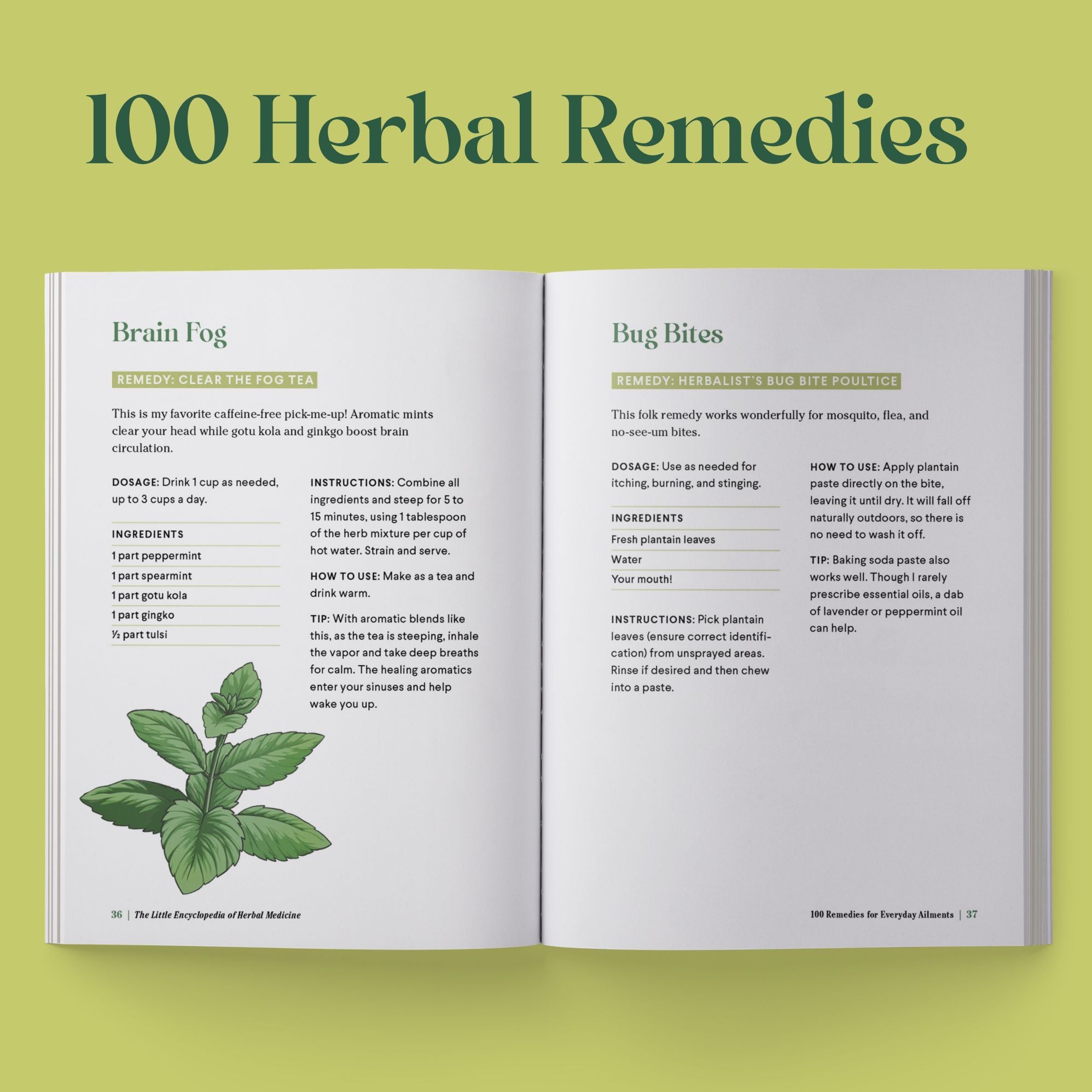 The Little Encyclopedia of Herbal Medicine: 100 Everyday Remedies from a Registered Herbalist and East Asian Medical Practitioner