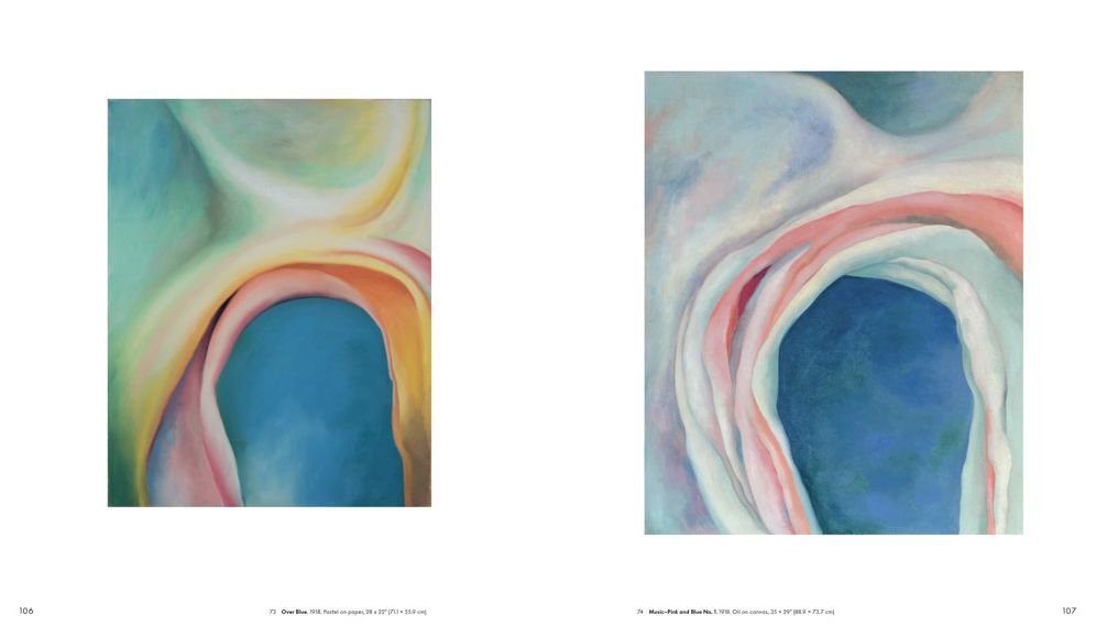 Georgia O'Keeffe: To See Takes Time